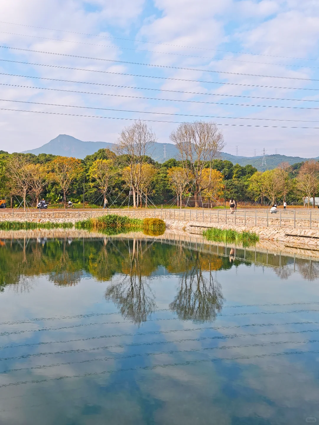 深圳西丽写意三河已美成油画，附live实拍！