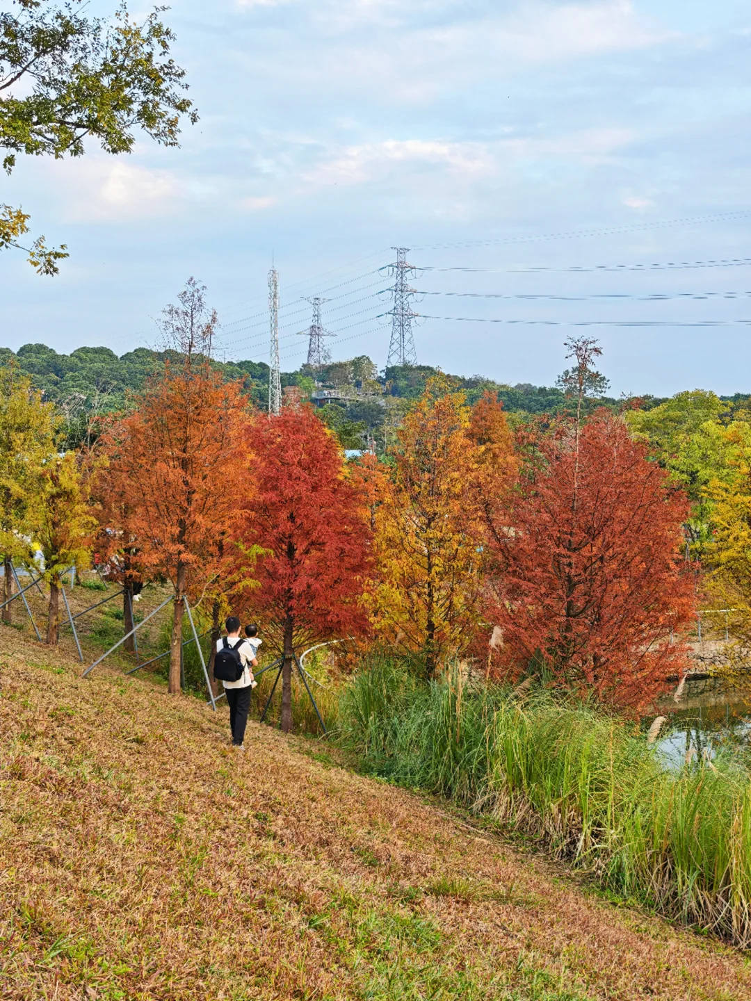 深圳西丽写意三河已美成油画，附live实拍！