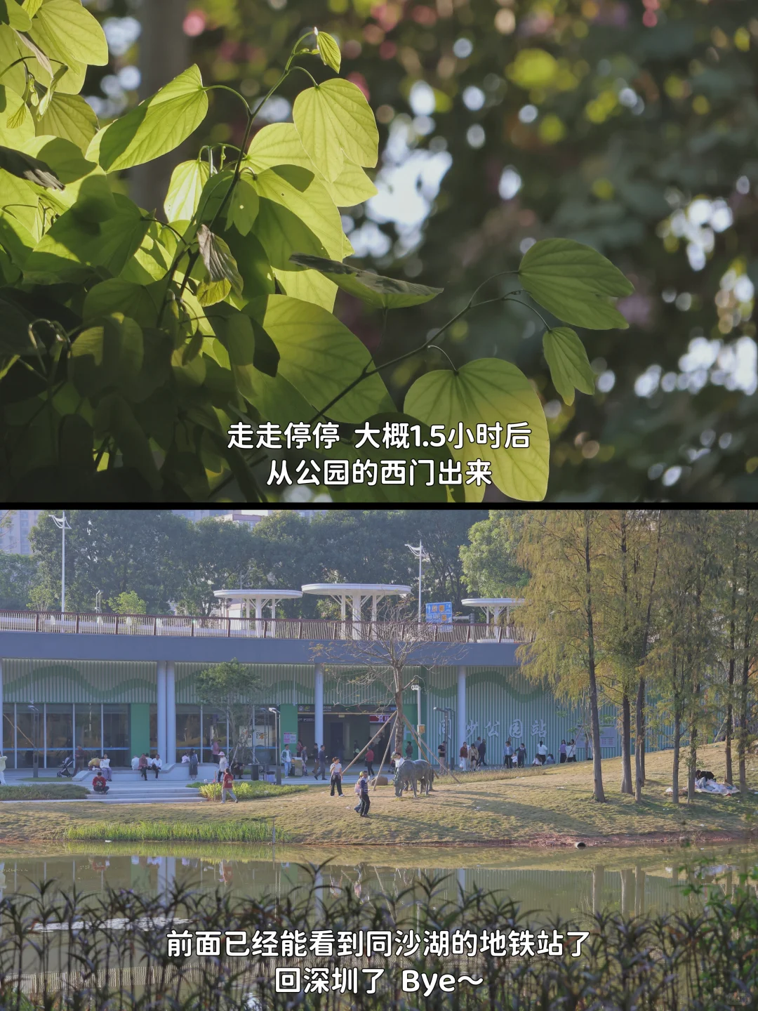 从深圳 坐地铁去东莞逛吃的一天