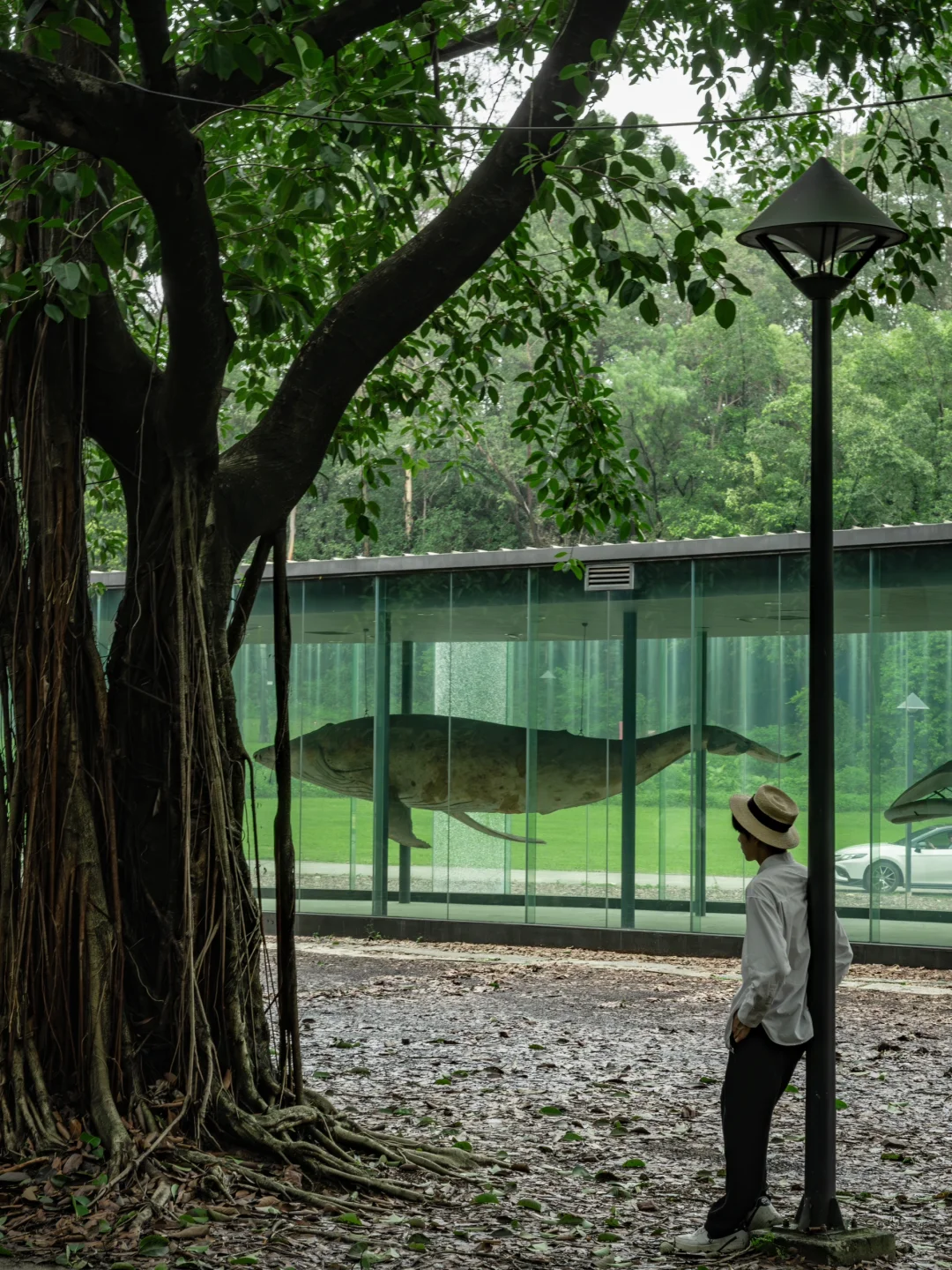 人生建议，去完这1️⃣0️⃣个地方再离开广州