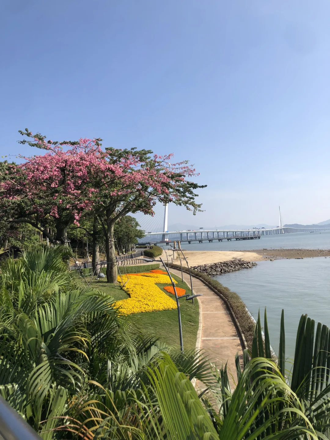 深圳太几把过瘾了，我的鼻炎都被治好了