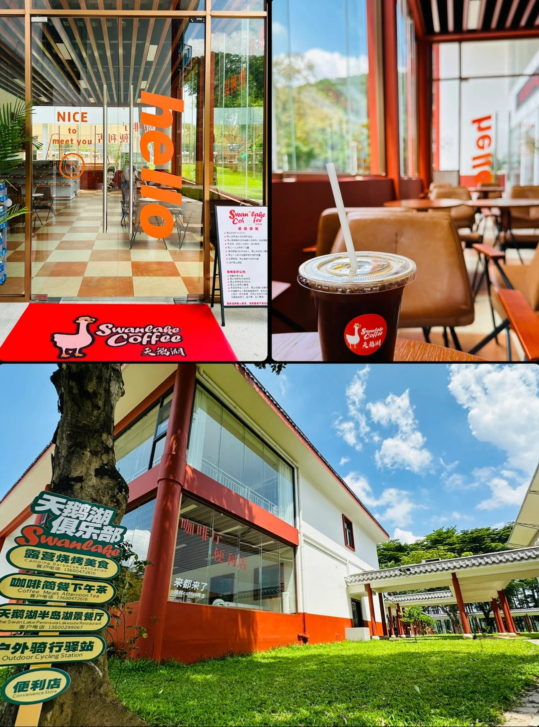 🇫🇷东莞私藏“小法网”！红土场拍照超出片！