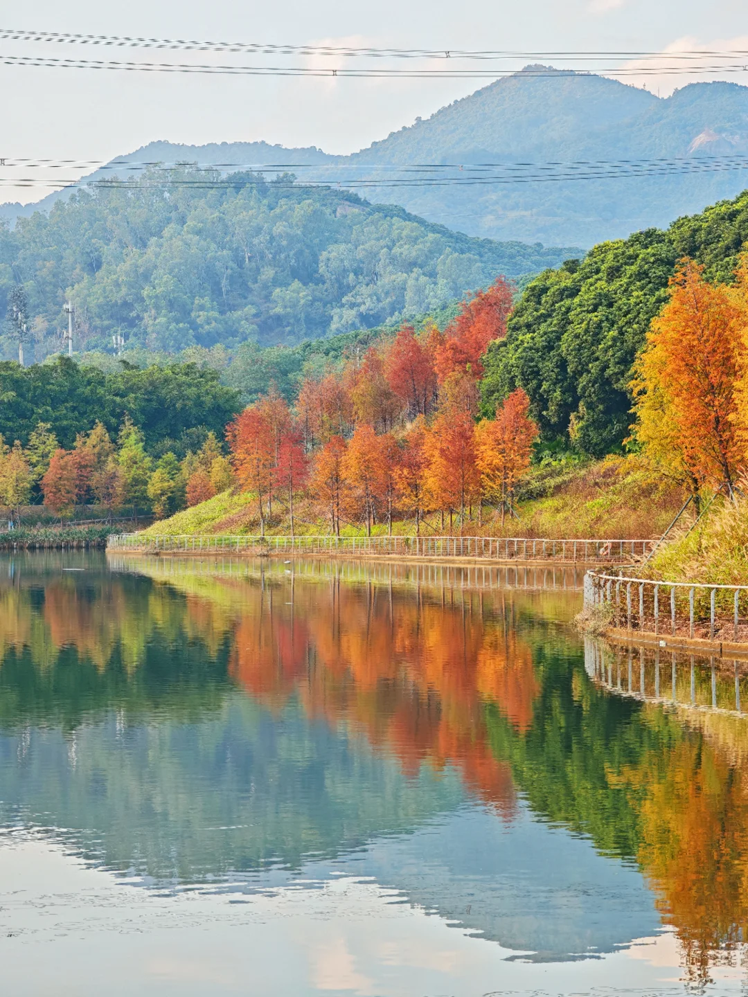 深圳西丽写意三河已美成油画，附live实拍！