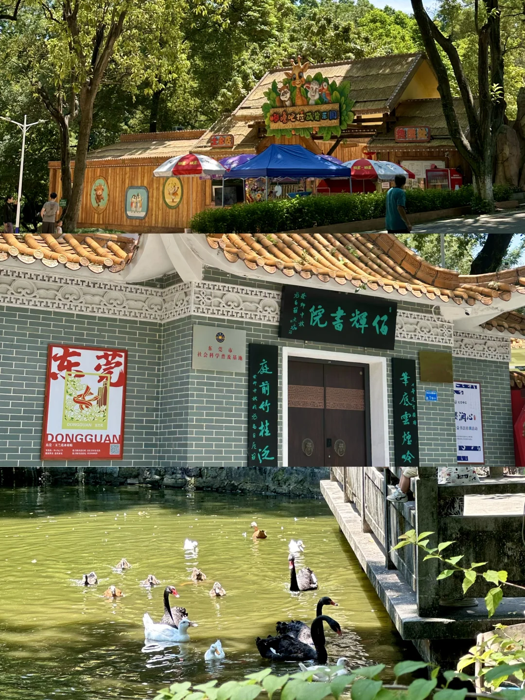 东莞一日游‼️逛吃拍照citywalk全路线