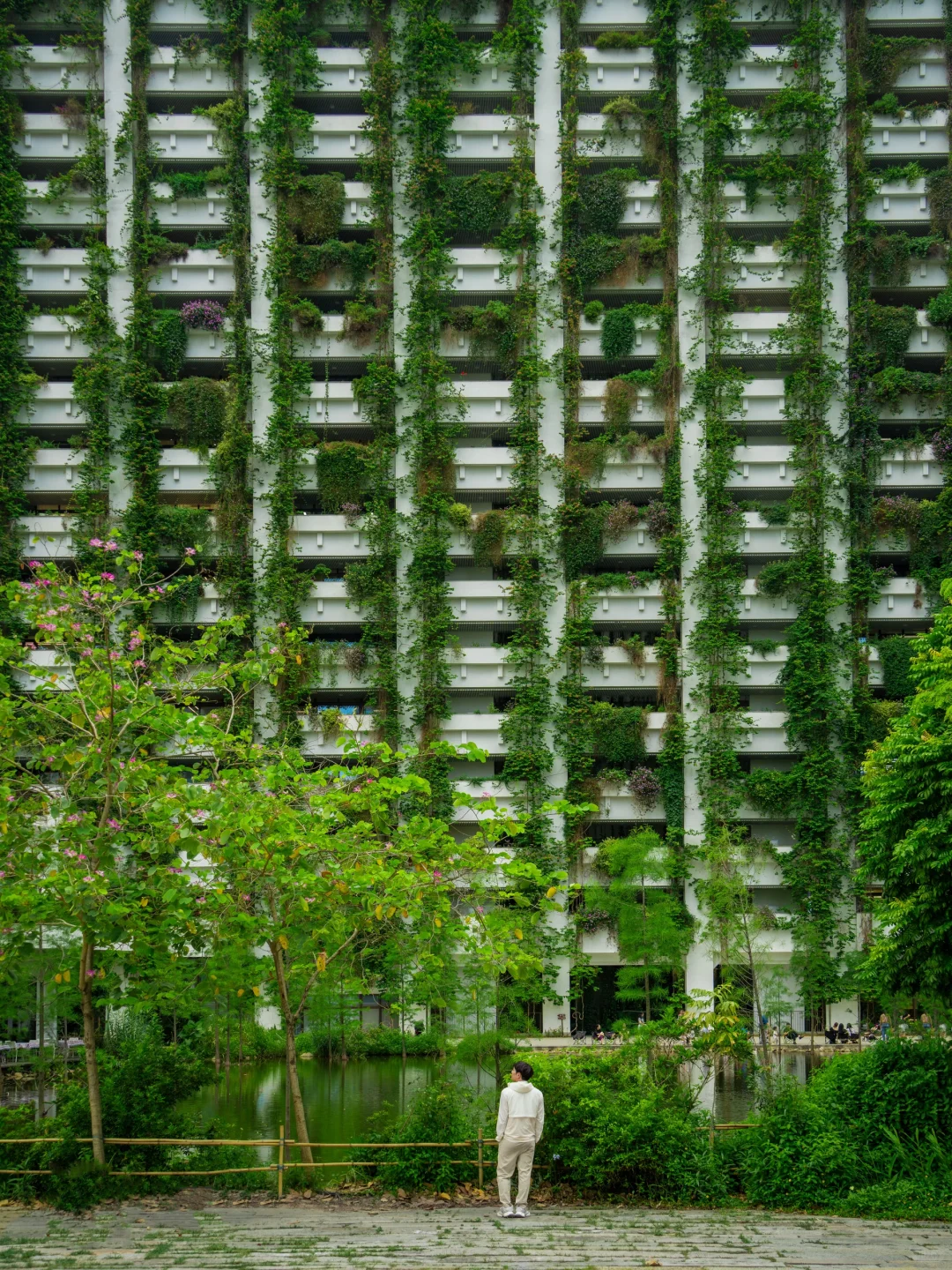 为了这18张照片，我特意飞了趟深圳❗️值得么