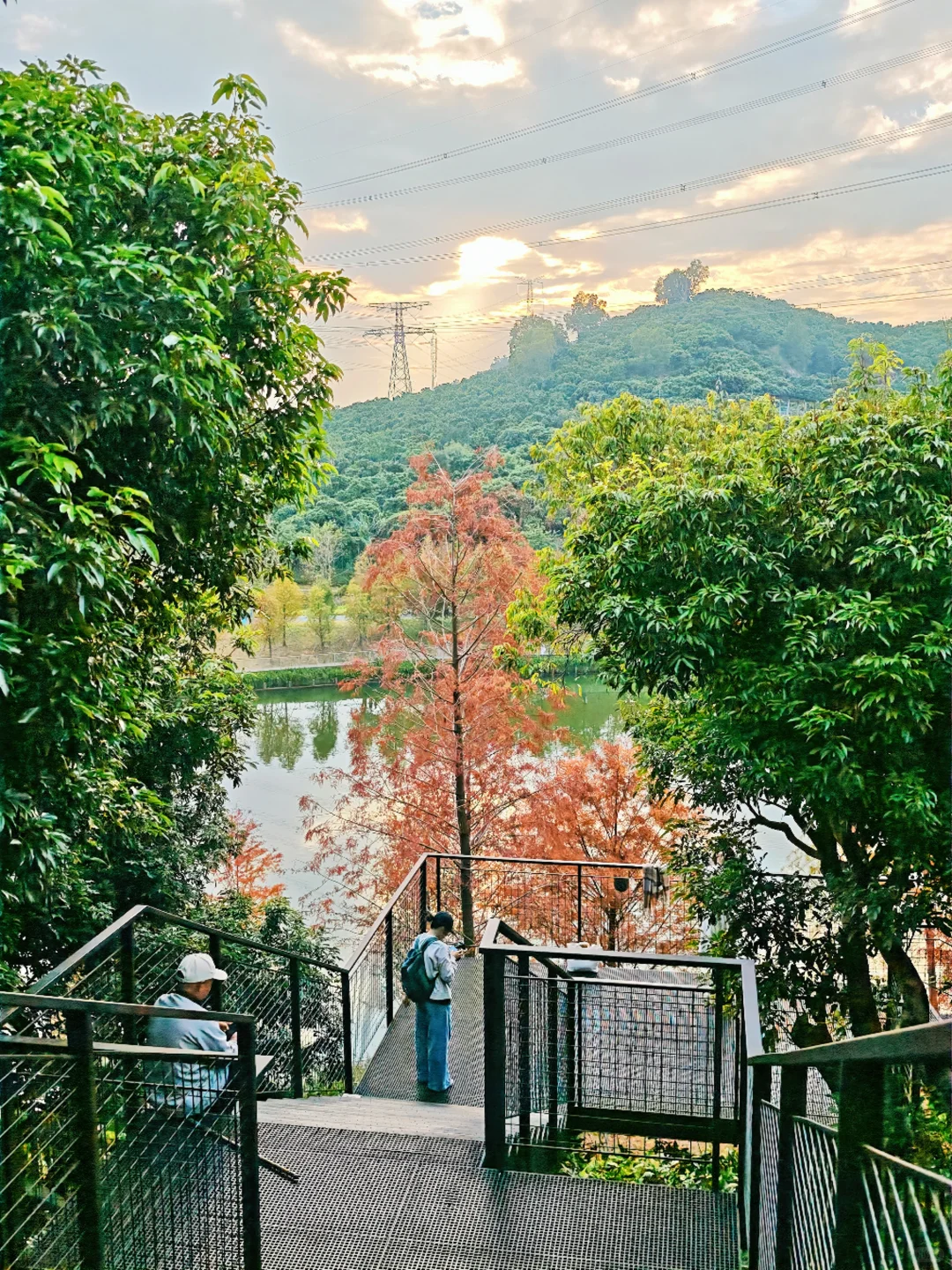 深圳西丽写意三河已美成油画，附live实拍！