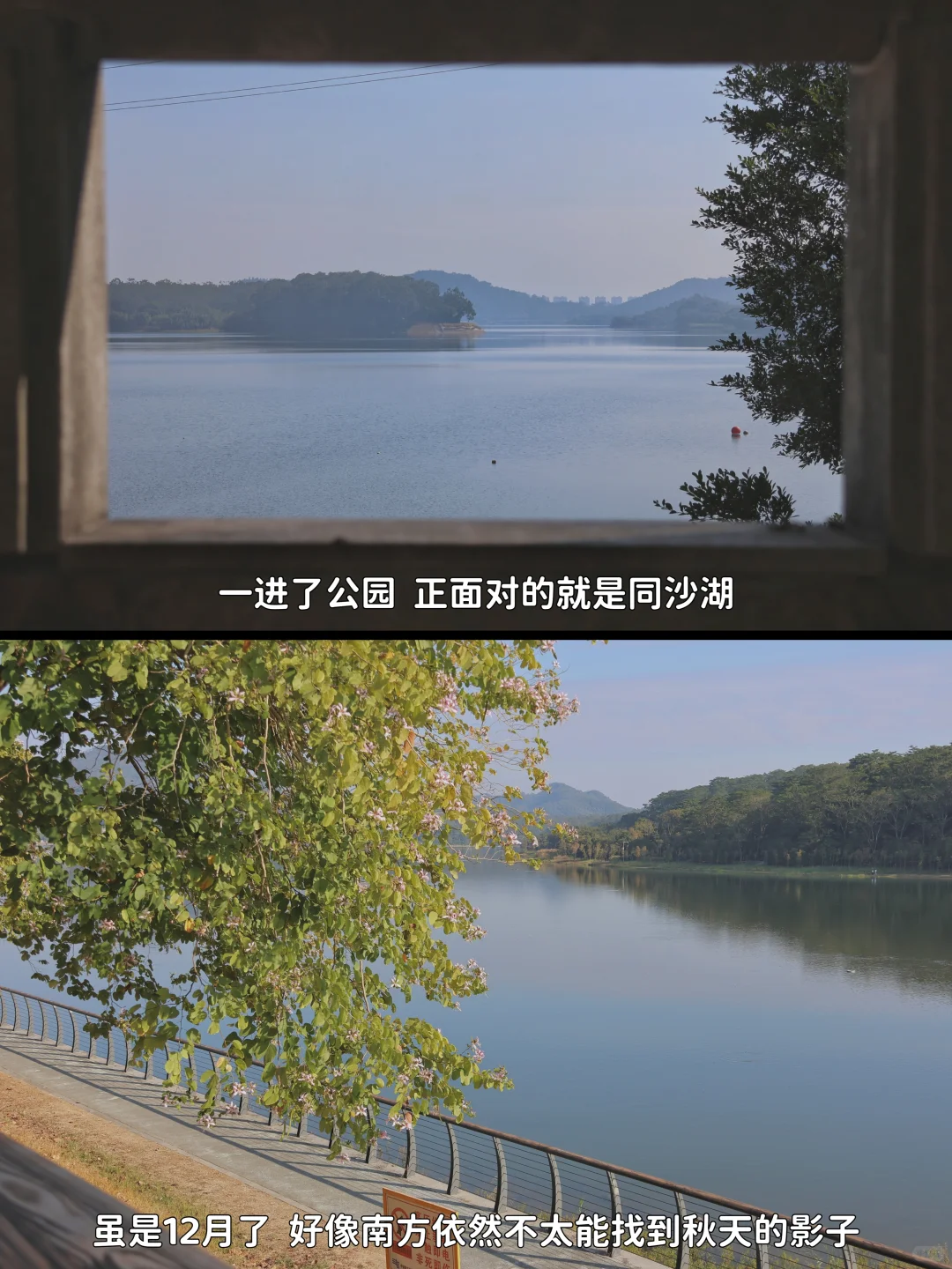 从深圳 坐地铁去东莞逛吃的一天