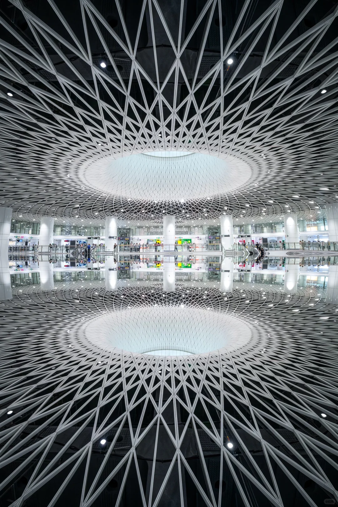 为了这18张照片，我特意飞了趟深圳❗️值得么