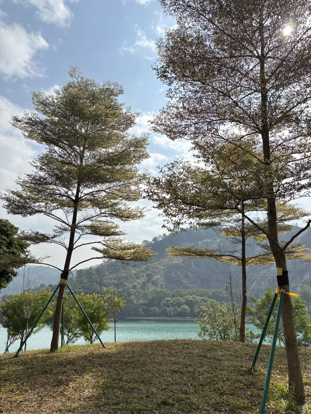 东莞遛娃惊喜发现！免费“小九寨沟”碧玉湖