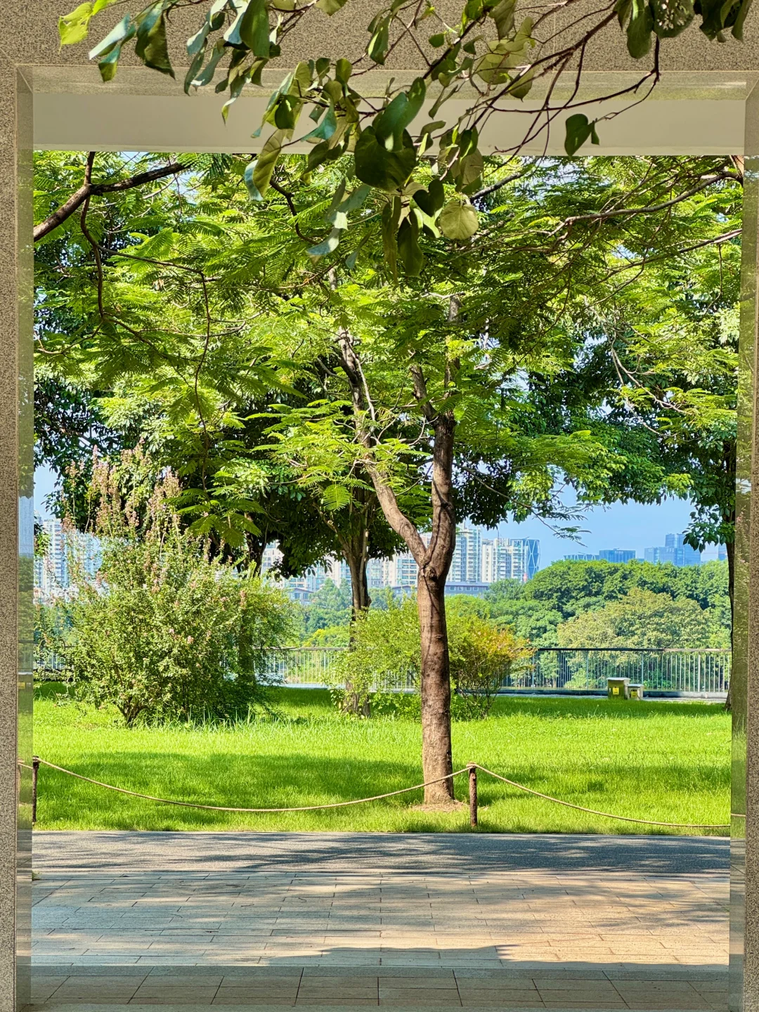 果然，广州最好的风景都是免费的🌿