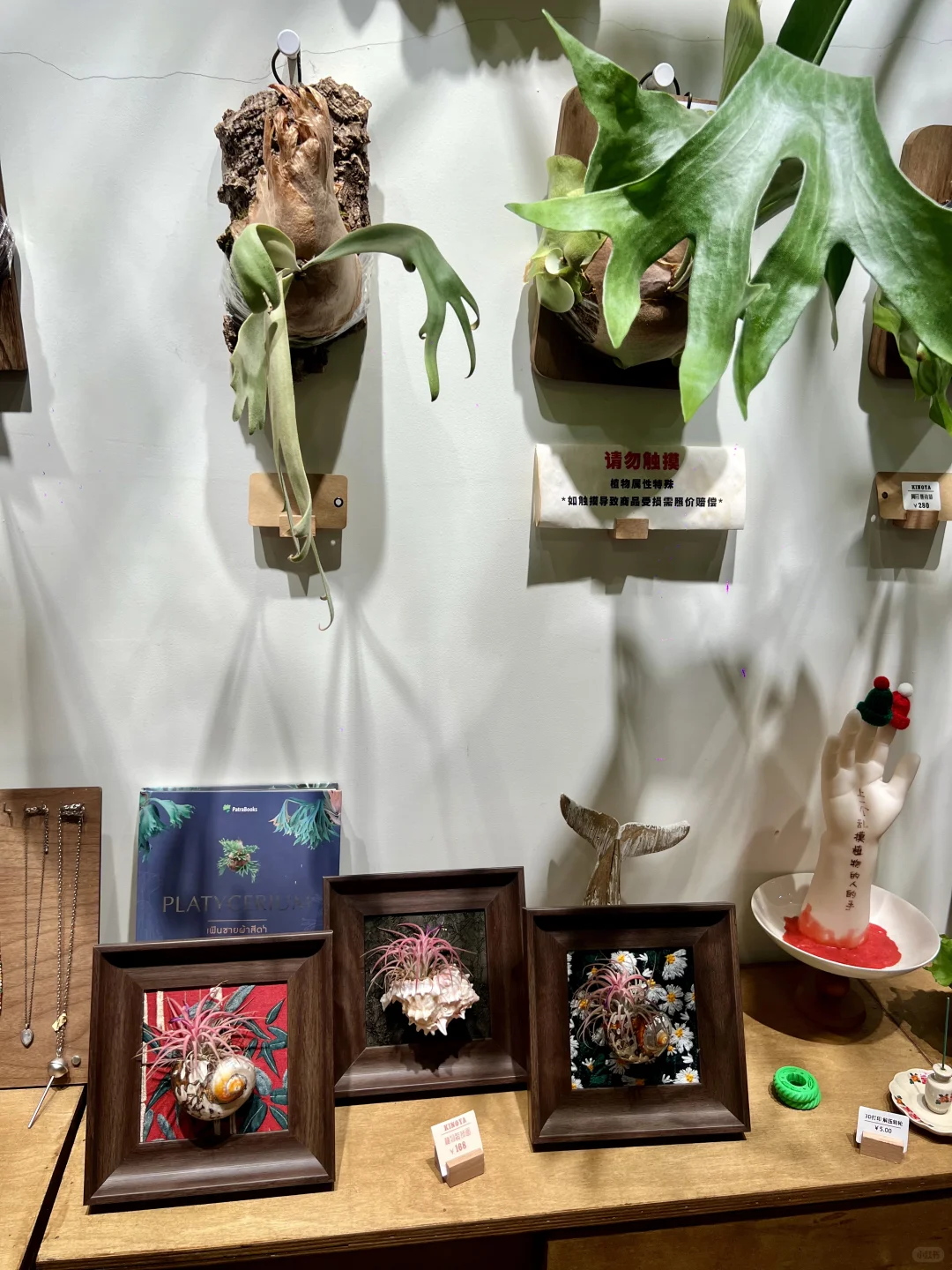 东莞一日超详细逛吃攻略还不快快码住‼️