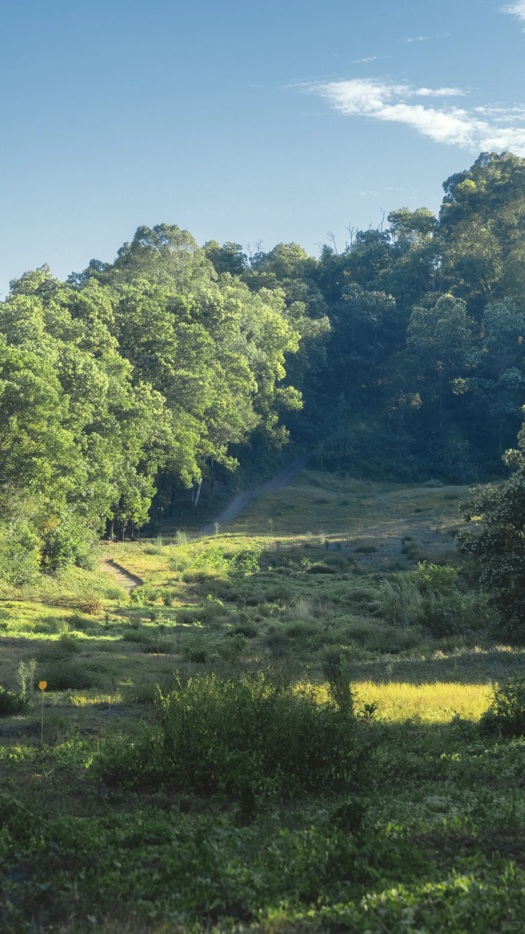 深圳龙岗徒步2小时｜小众绮丽郊野路线