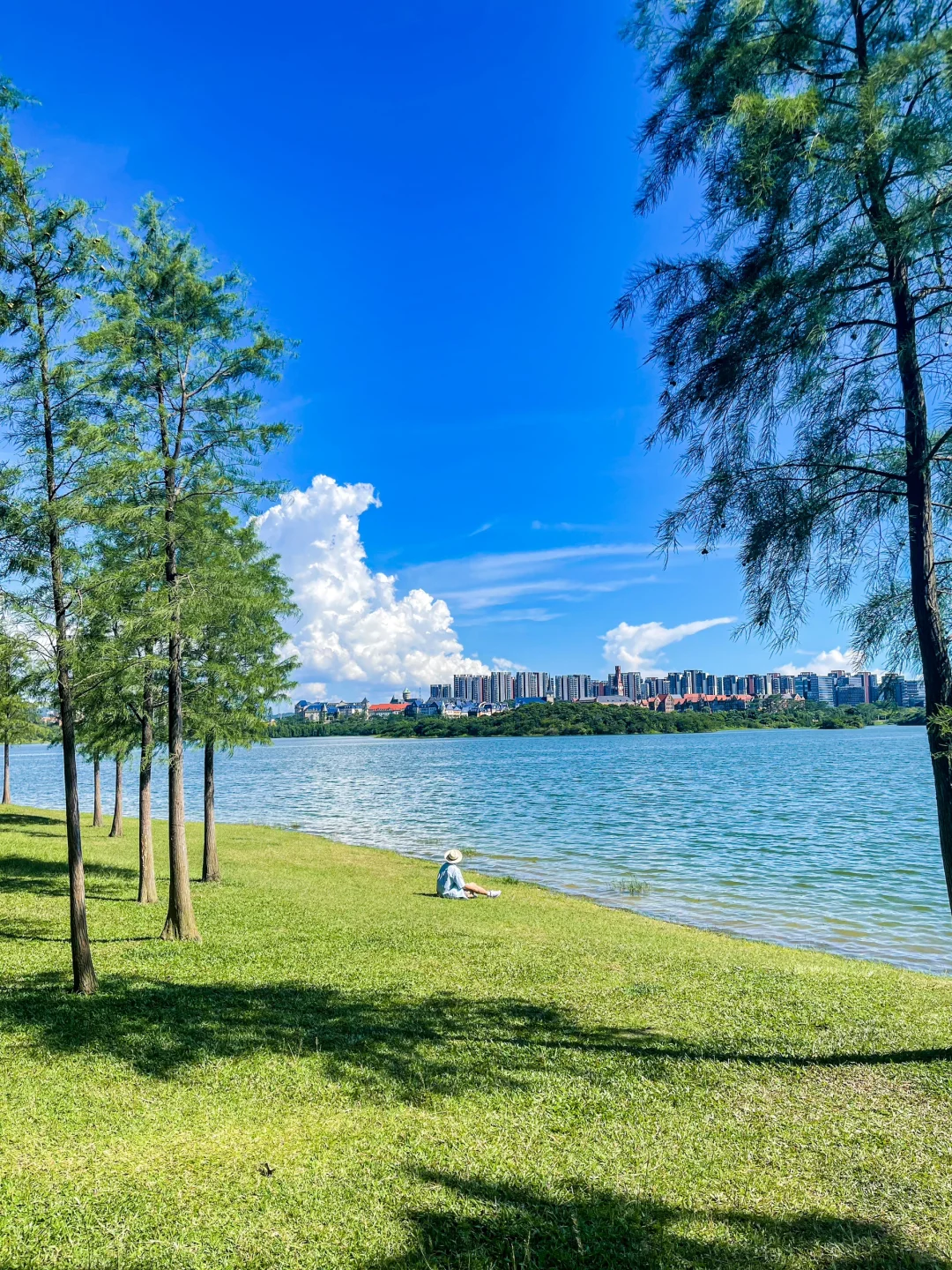 夏天的松山湖，即将成为东莞公园顶流！