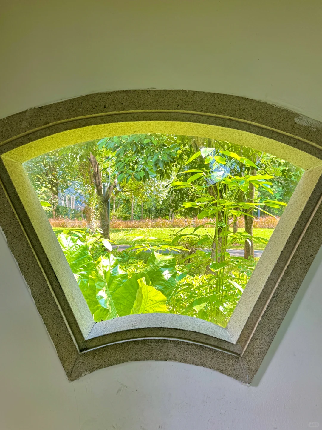 果然，广州最好的风景都是免费的🌿