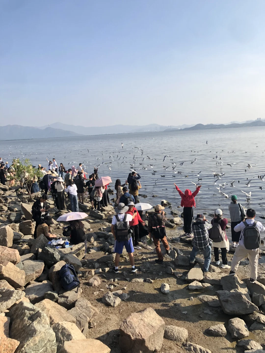 深圳太几把过瘾了，我的鼻炎都被治好了