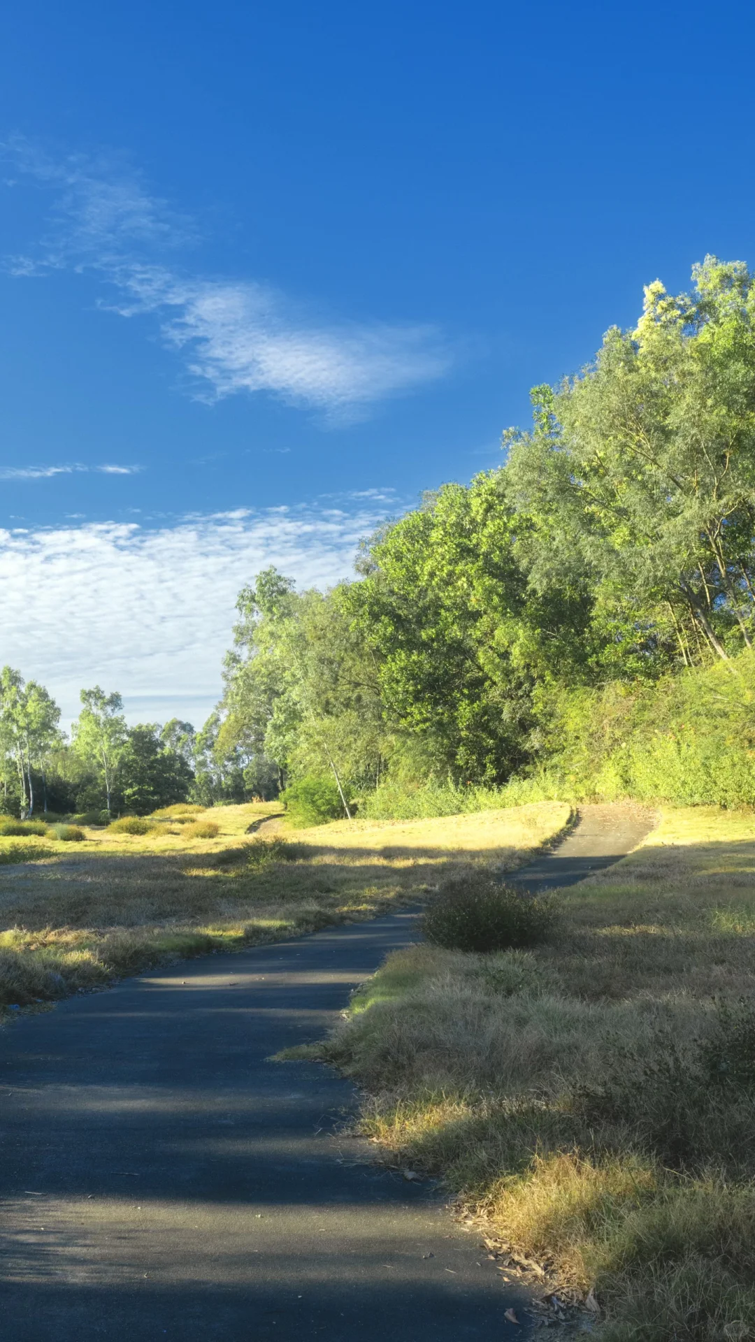 深圳龙岗徒步2小时｜小众绮丽郊野路线