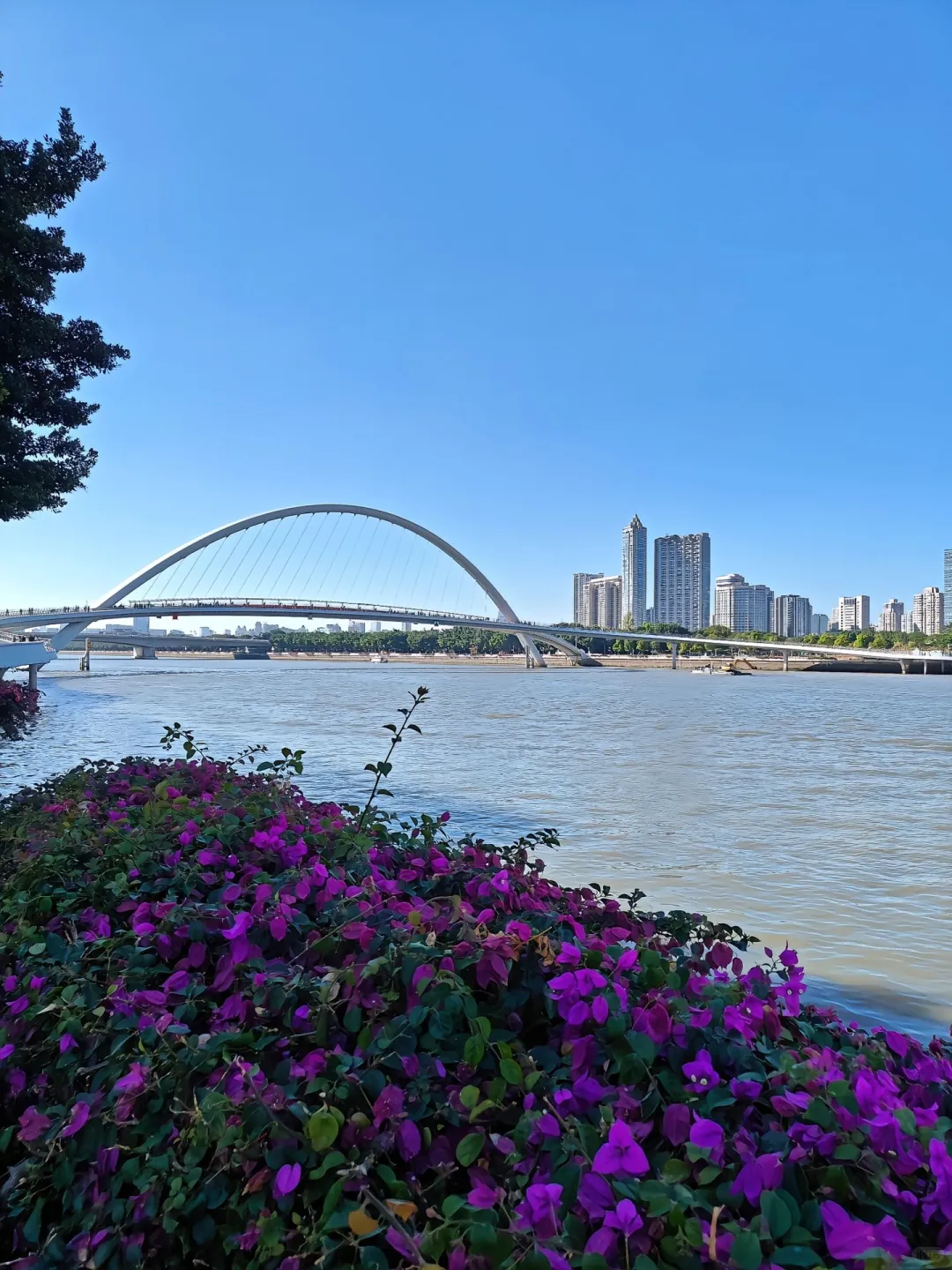 12月的广州真的很美，当然要分享给你啦🤭