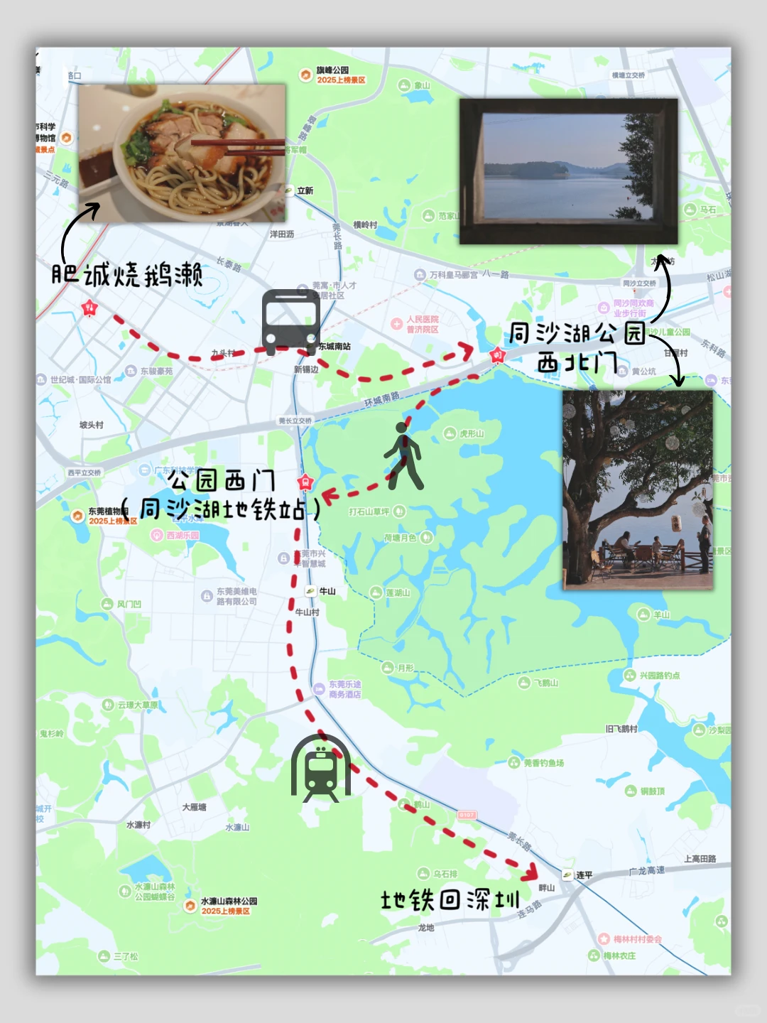 从深圳 坐地铁去东莞逛吃的一天