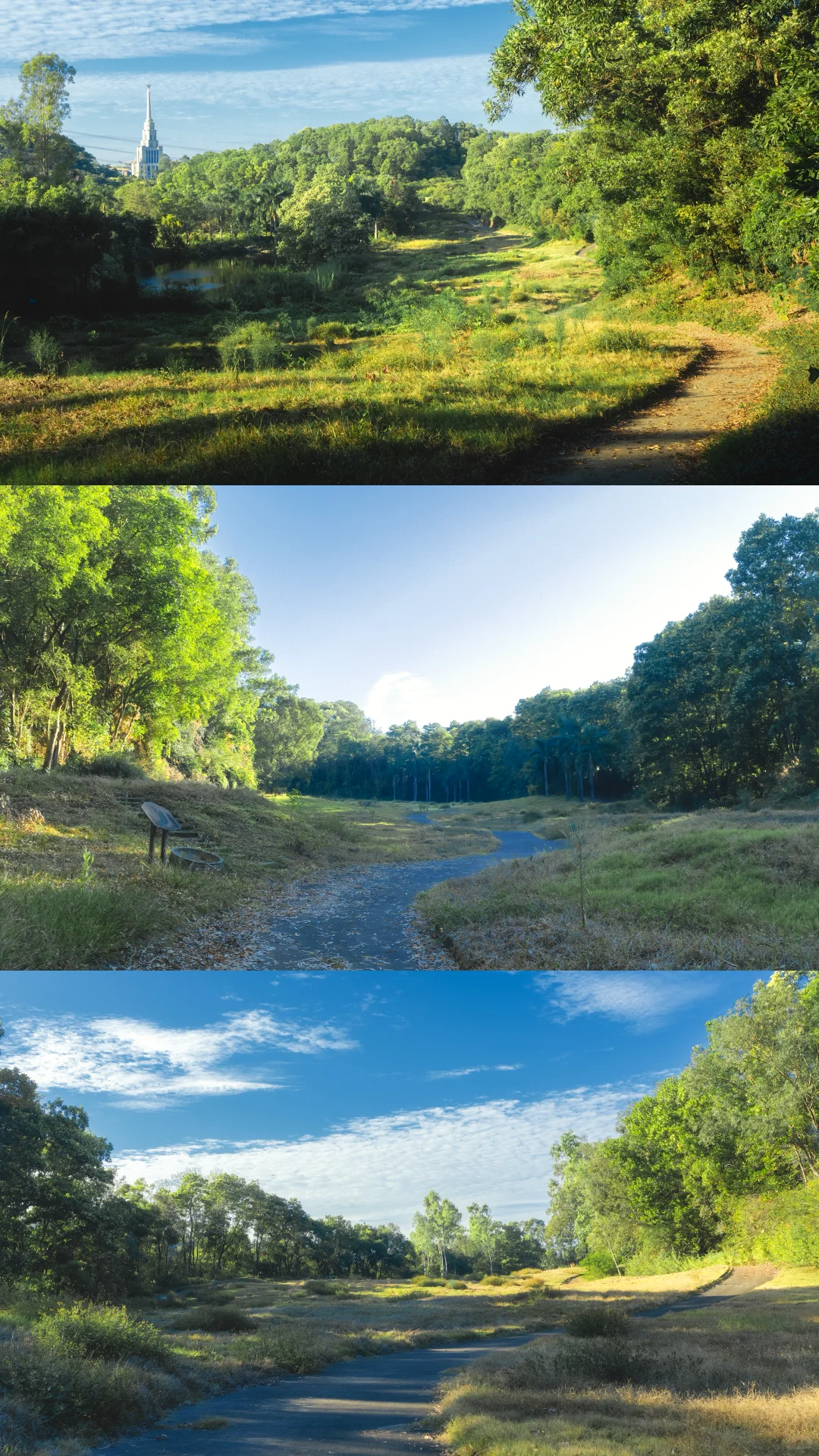 深圳龙岗徒步2小时｜小众绮丽郊野路线