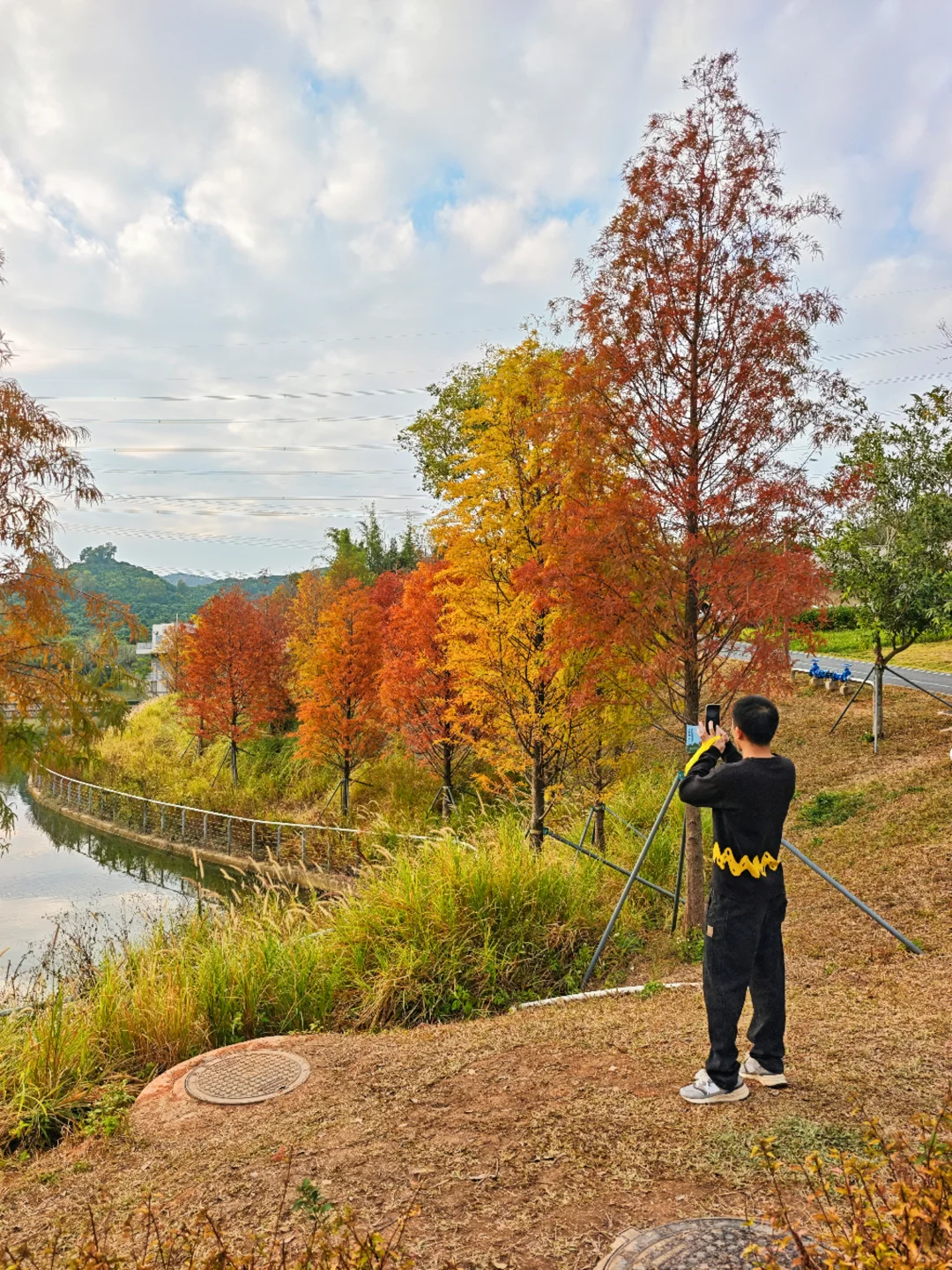 深圳西丽写意三河已美成油画，附live实拍！