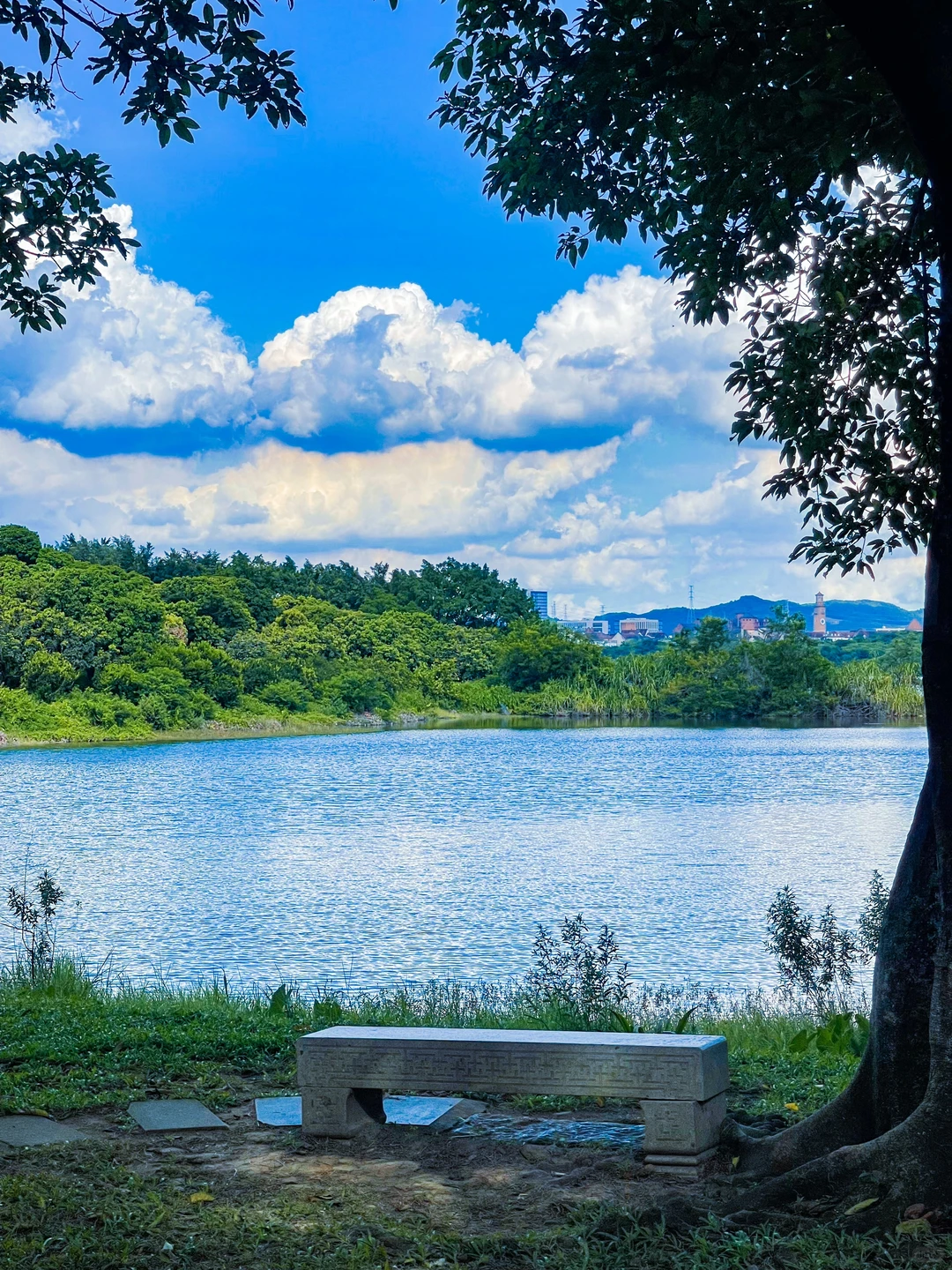 夏天的松山湖，即将成为东莞公园顶流！