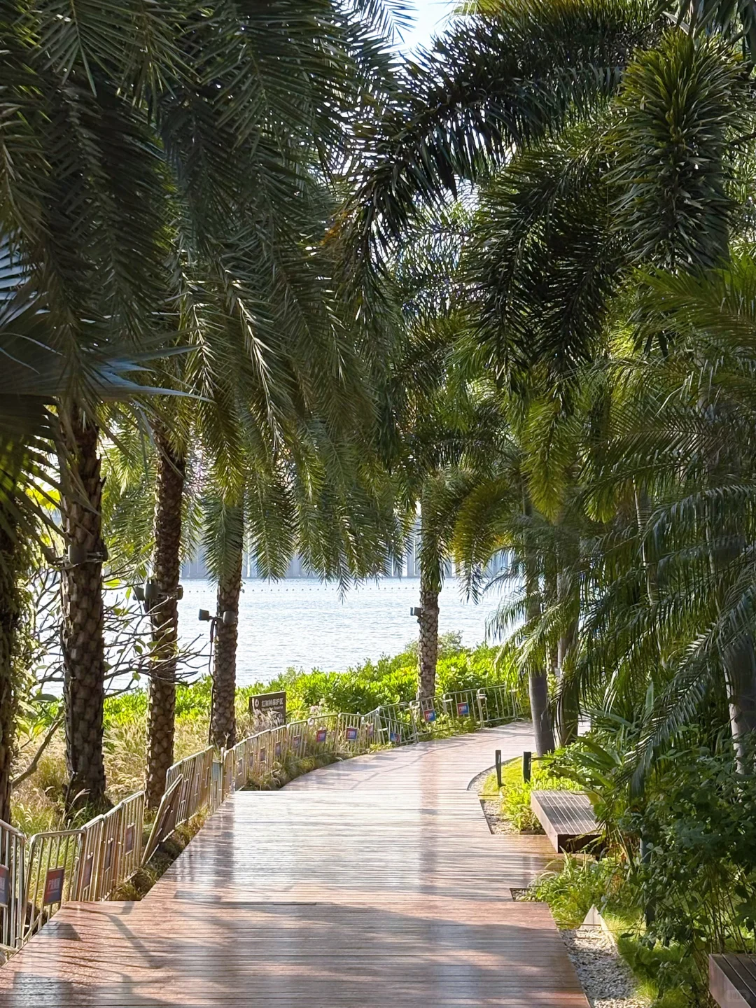 又是羡慕深圳人的一天，公园真的卷到离谱