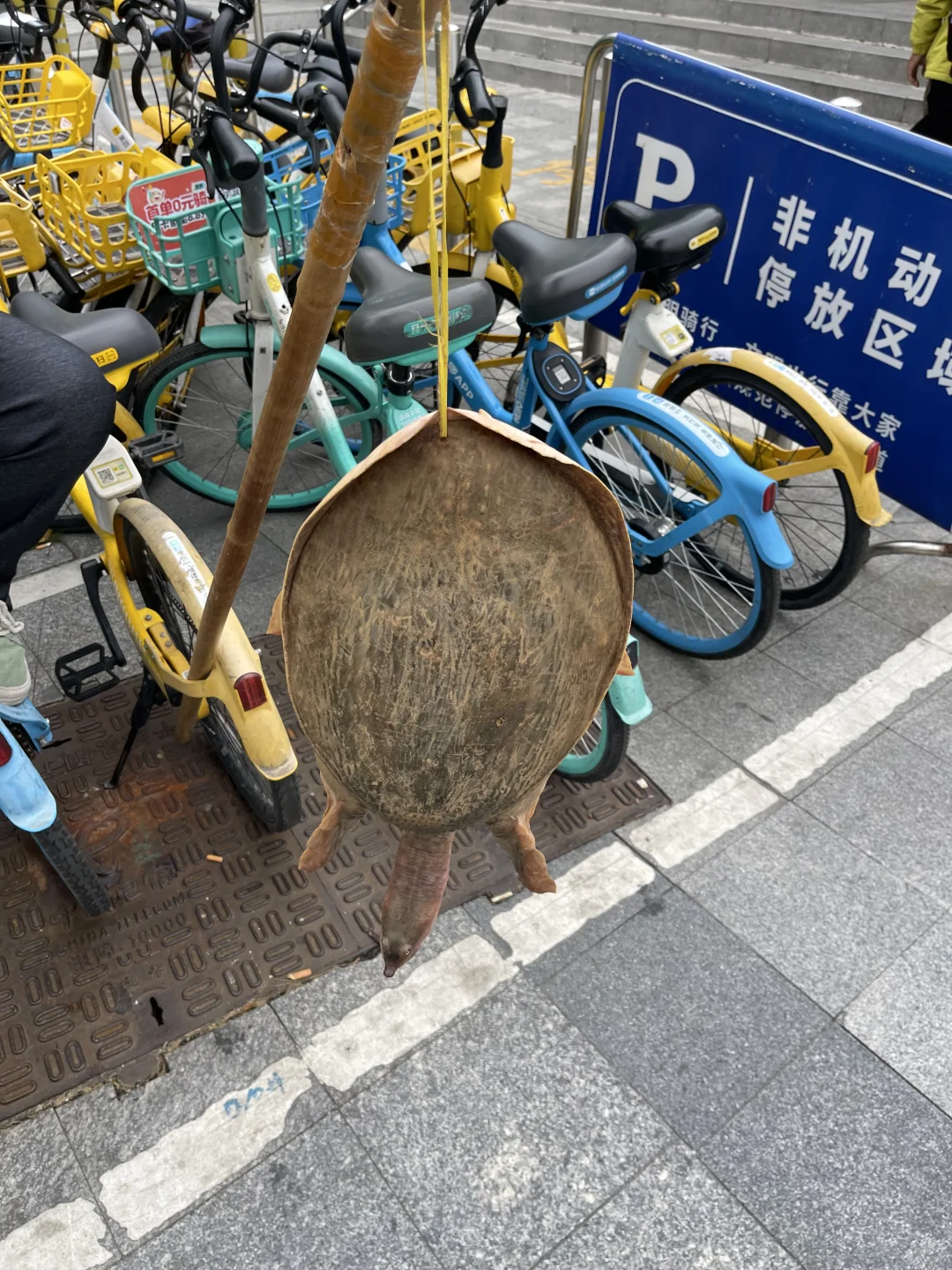 什么年代了，深圳居然还有这种套路