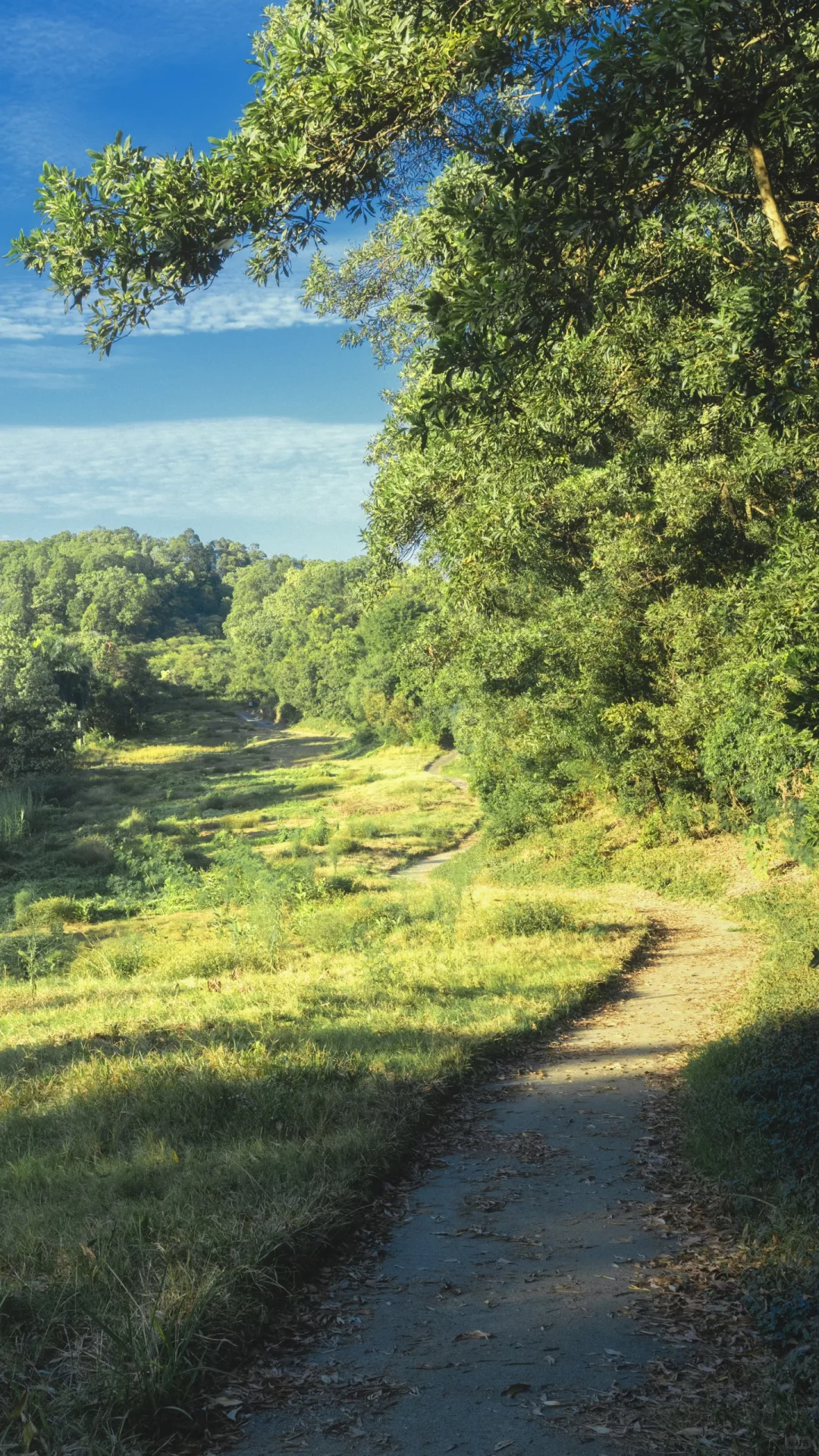 深圳龙岗徒步2小时｜小众绮丽郊野路线