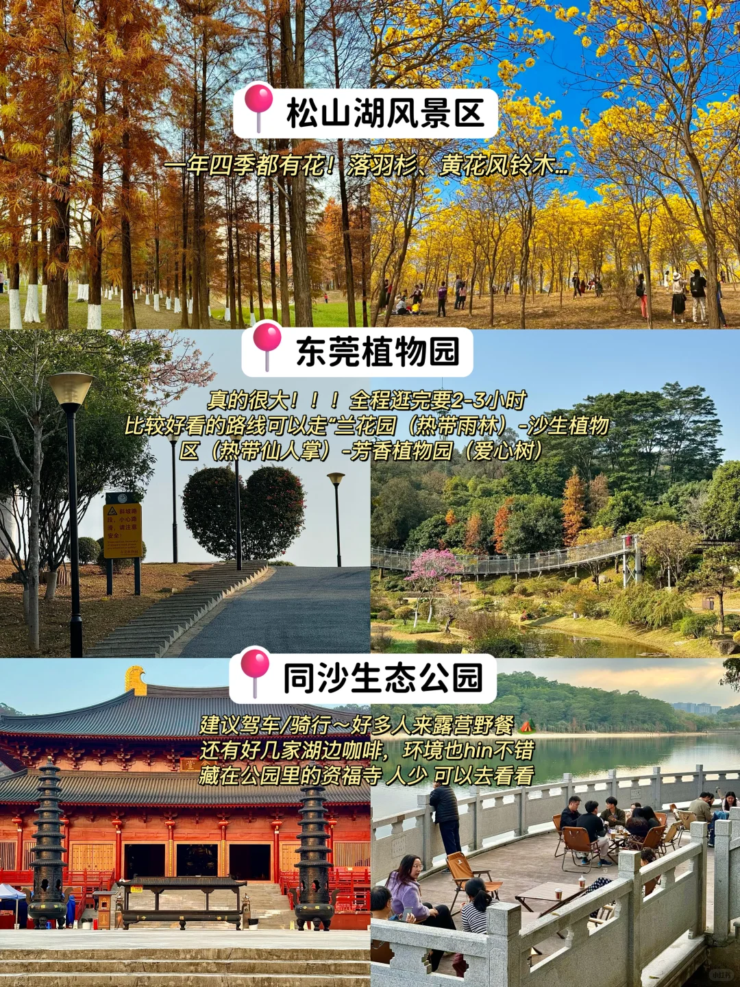 东莞一日游‼️逛吃拍照citywalk全路线