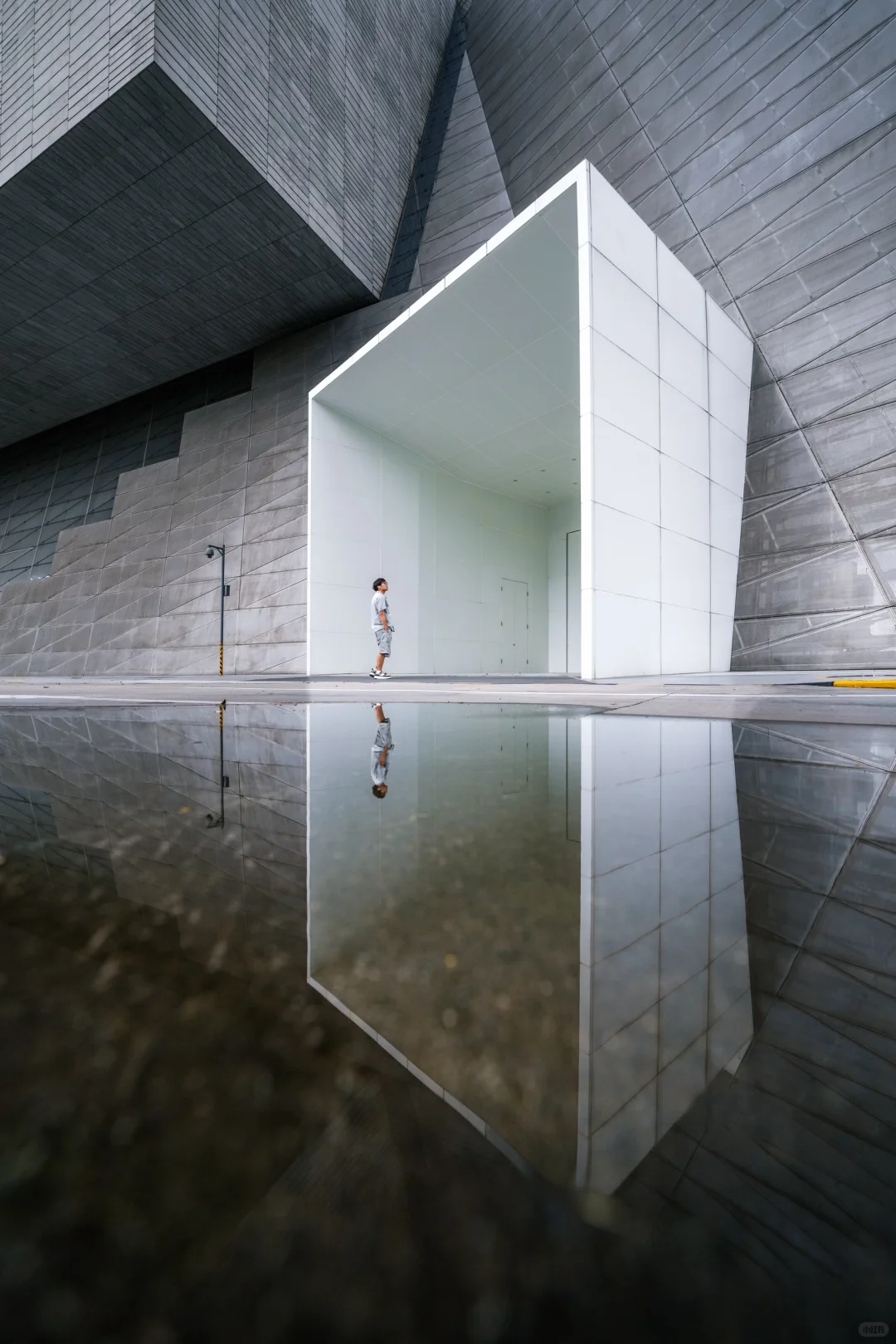 为了这18张照片，我特意飞了趟深圳❗️值得么