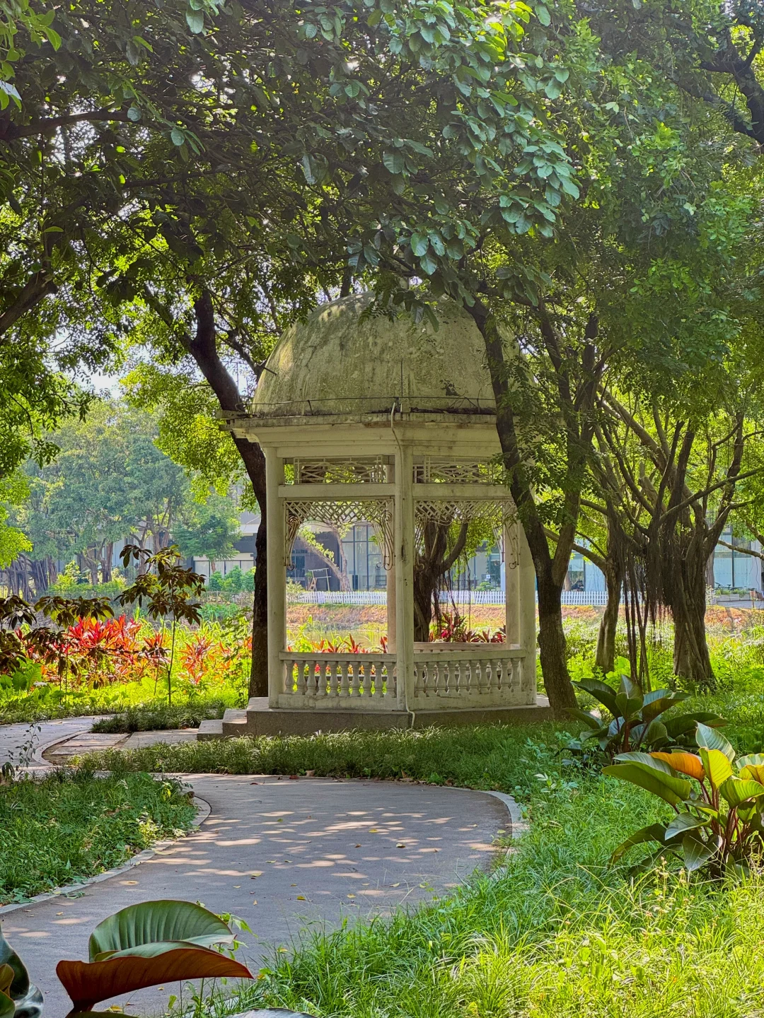 果然，广州最好的风景都是免费的🌿