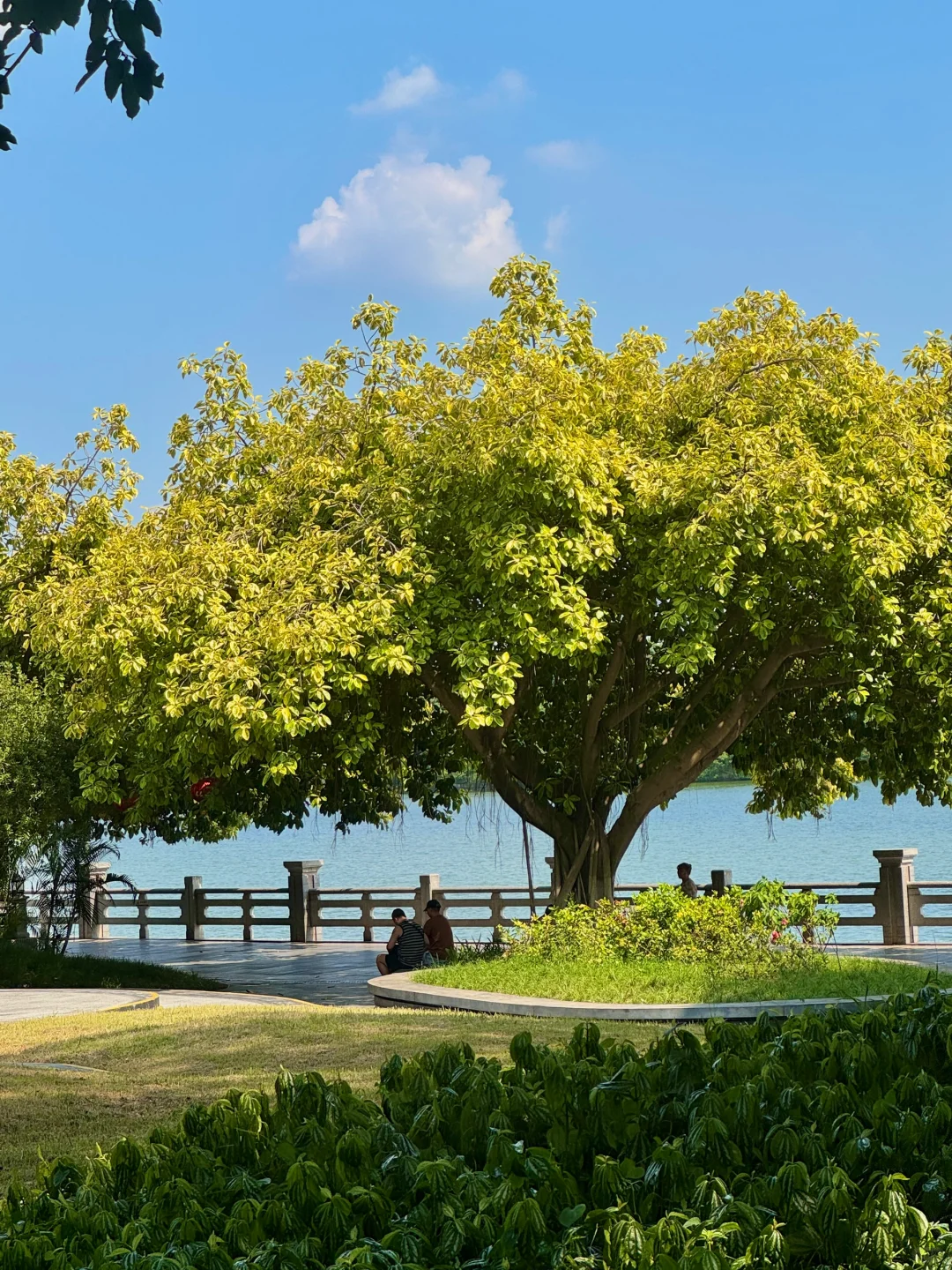 果然，广州最好的风景都是免费的🌿