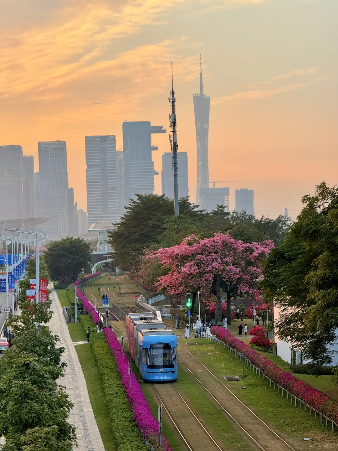 12.1live实拍 广州🌸拍到了动漫的花海列车