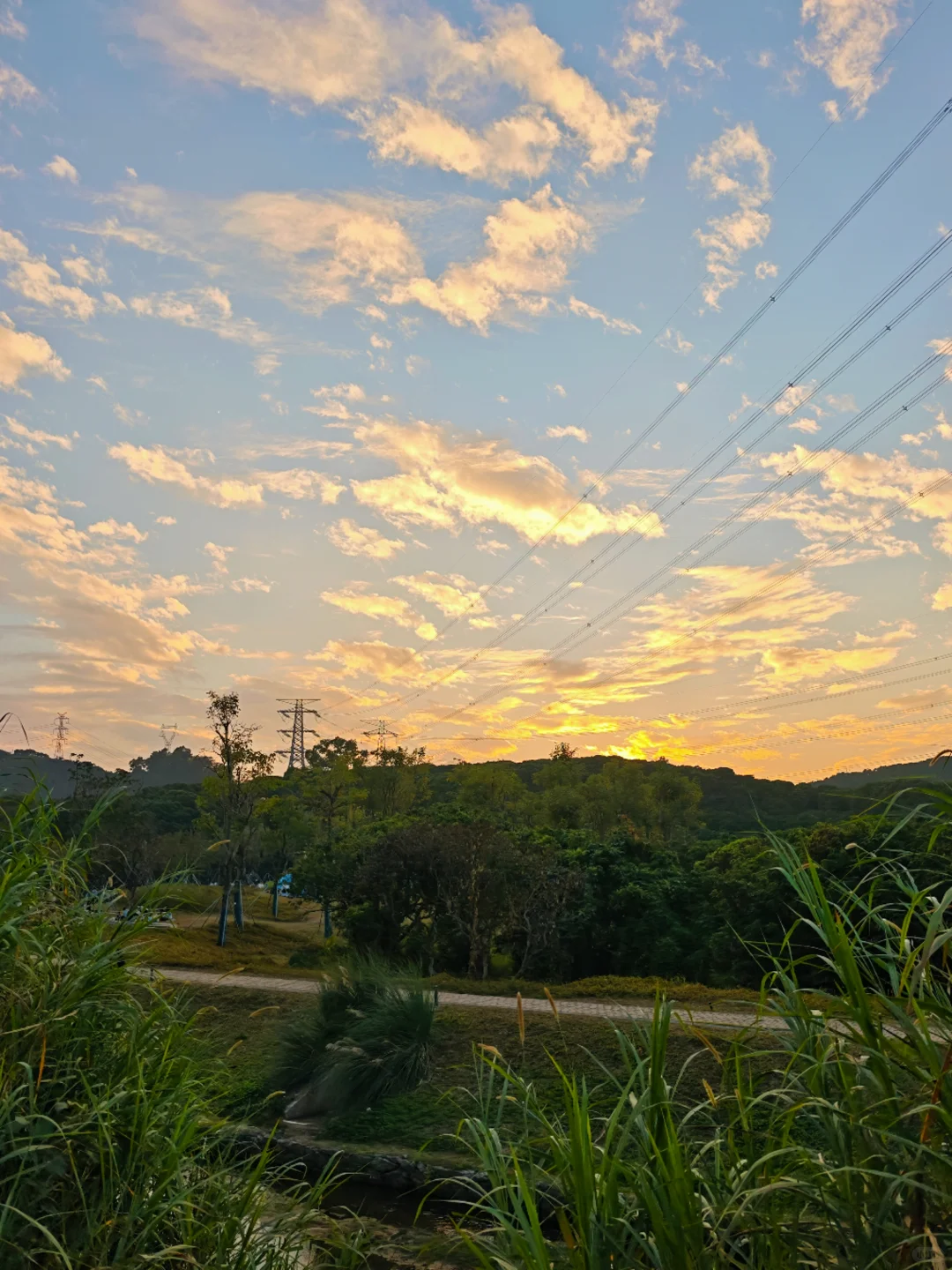深圳西丽写意三河已美成油画，附live实拍！