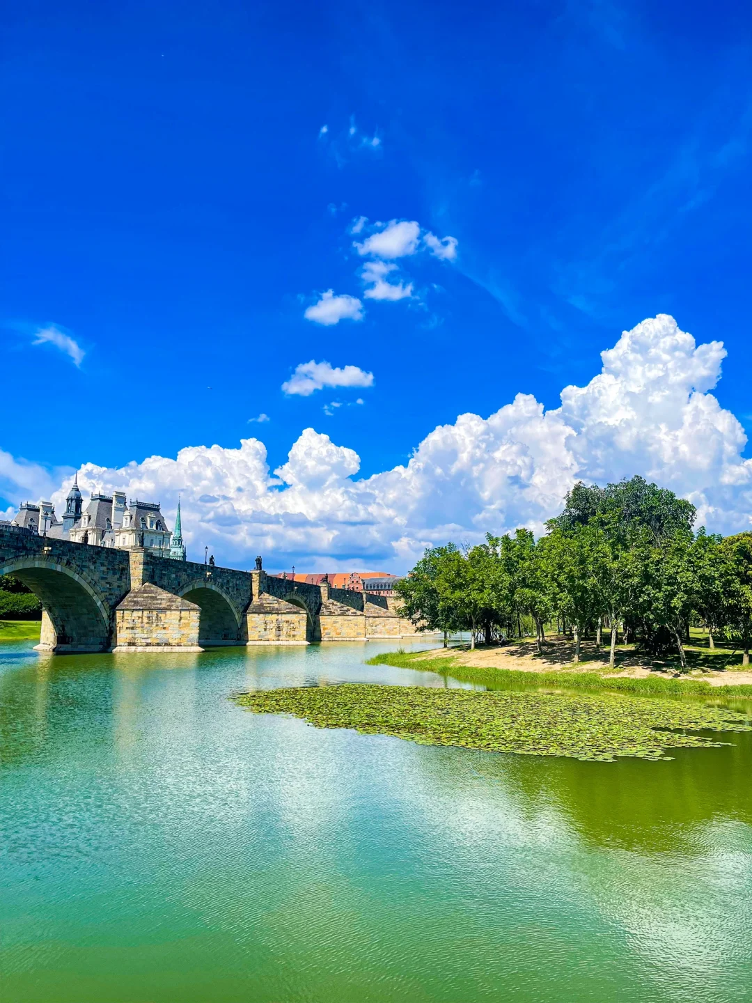 夏天的松山湖，即将成为东莞公园顶流！