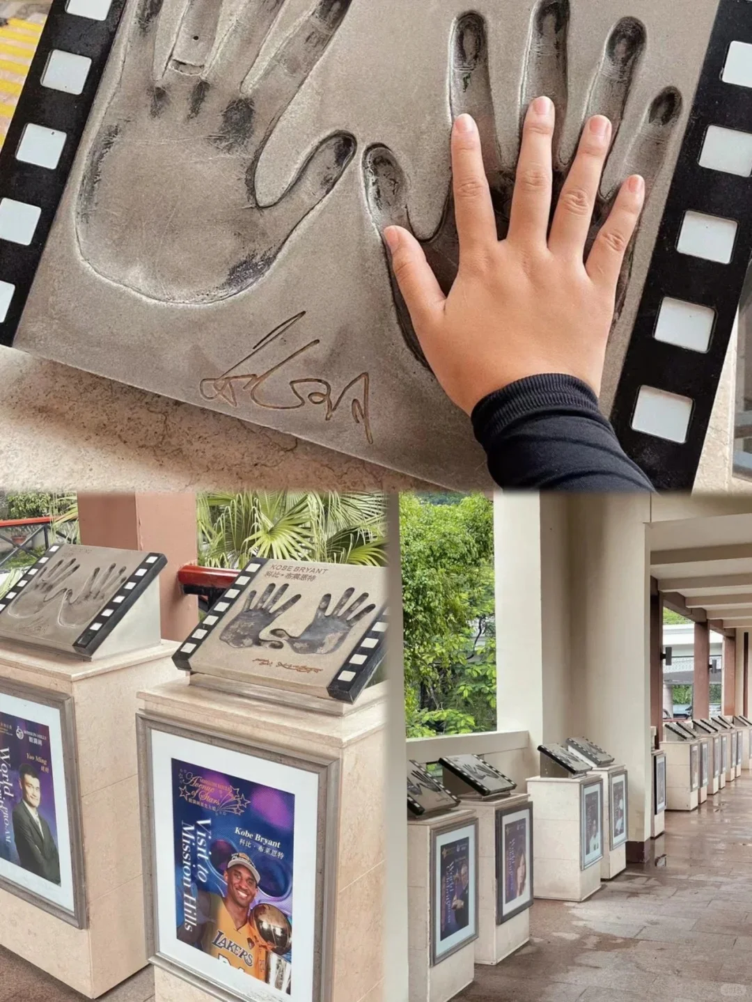 🎯度假天花板 高球艺术美食一站式体验