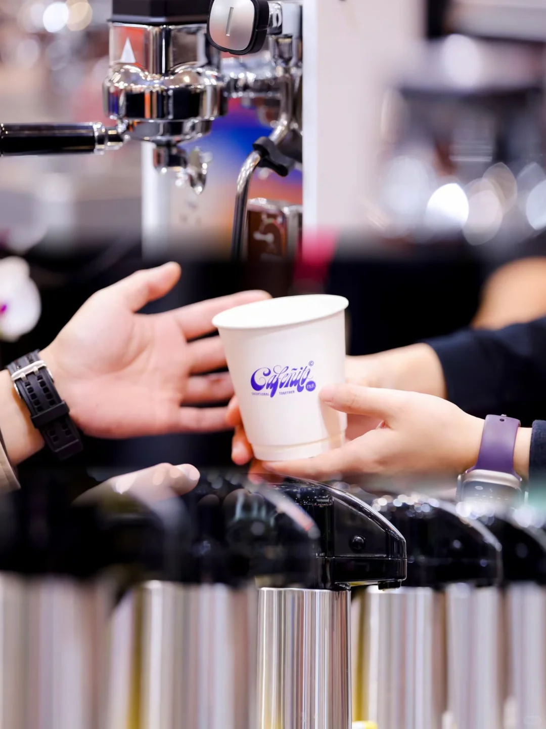 12月博华深圳联展见！！！