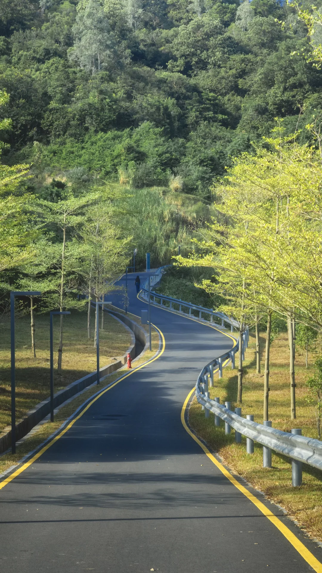 深圳龙岗徒步2小时｜小众绮丽郊野路线