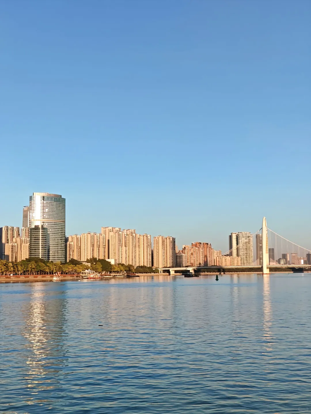 12月的广州真的很美，当然要分享给你啦🤭