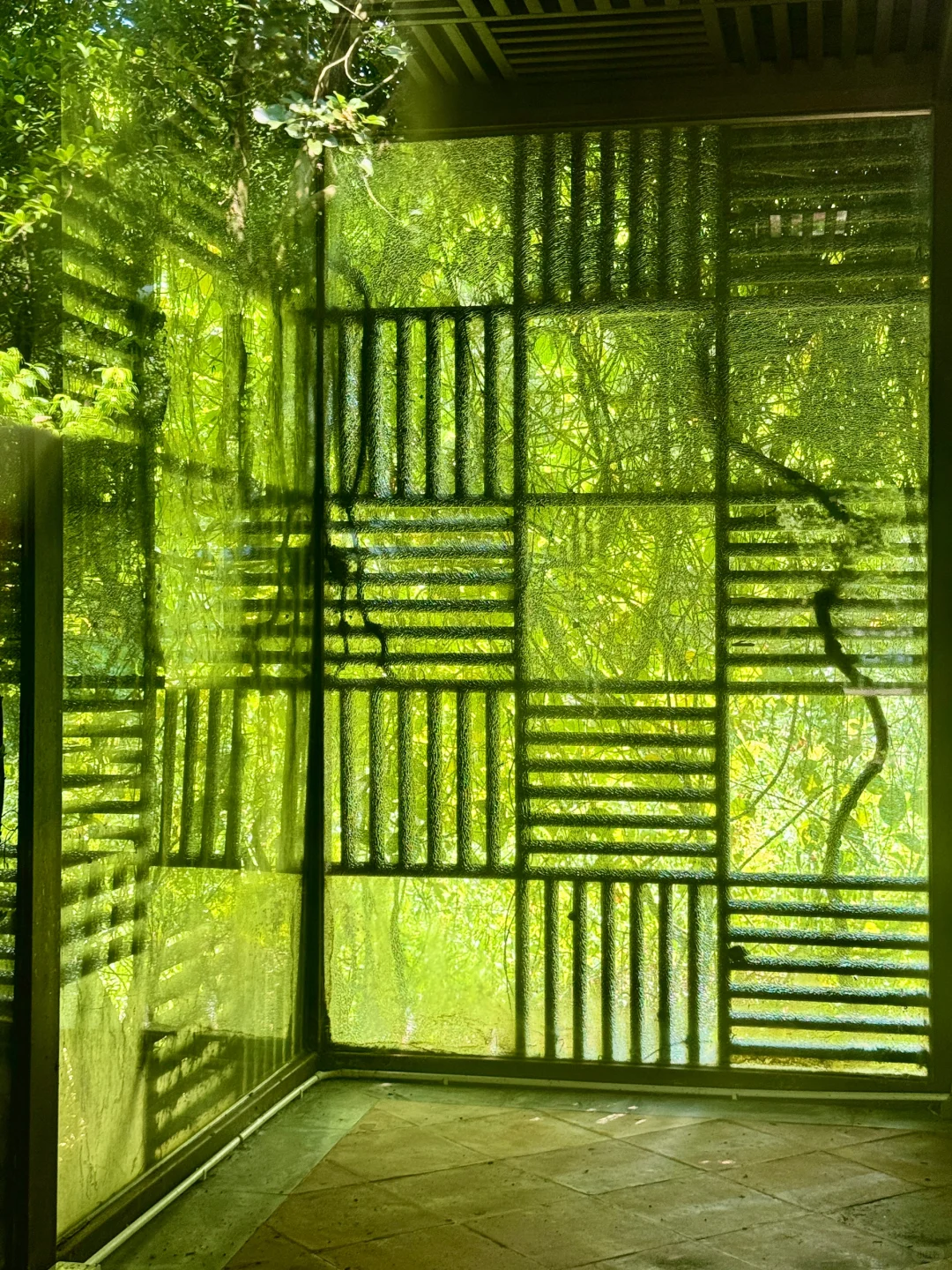 果然，广州最好的风景都是免费的🌿