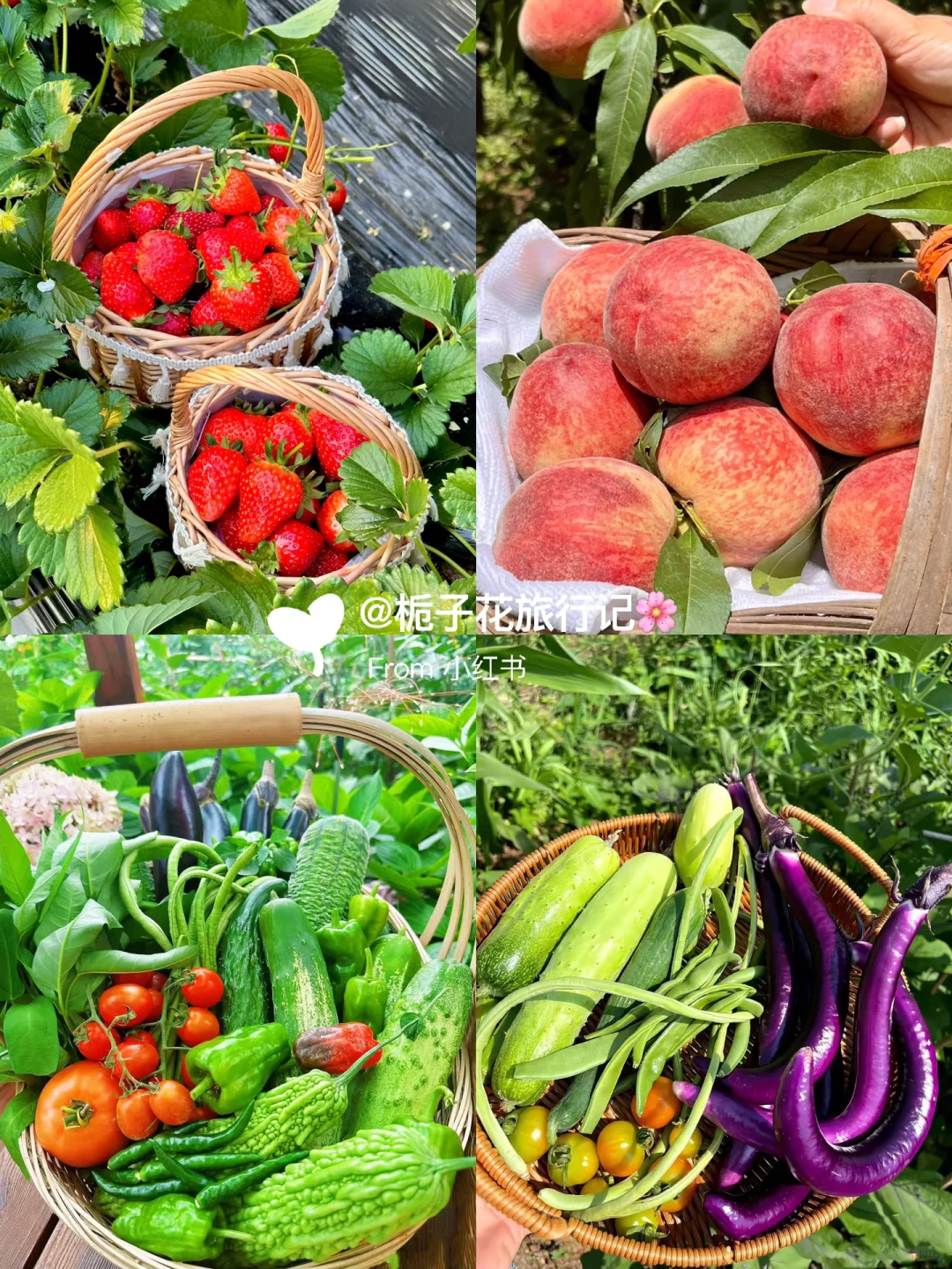 增城包个别墅开年会🔥温泉轰趴+篝火狂欢