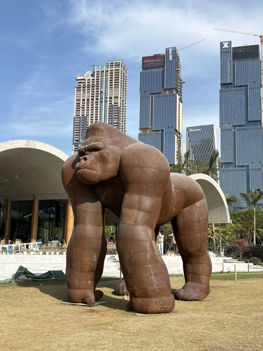 又是羡慕深圳人的一天，公园真的卷到离谱