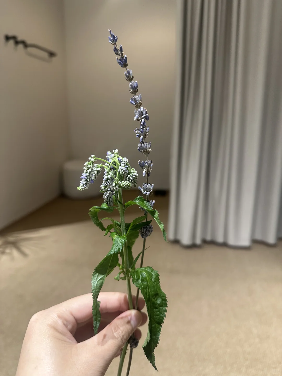 广州30+女性的秋冬衣橱，请锁死这家店