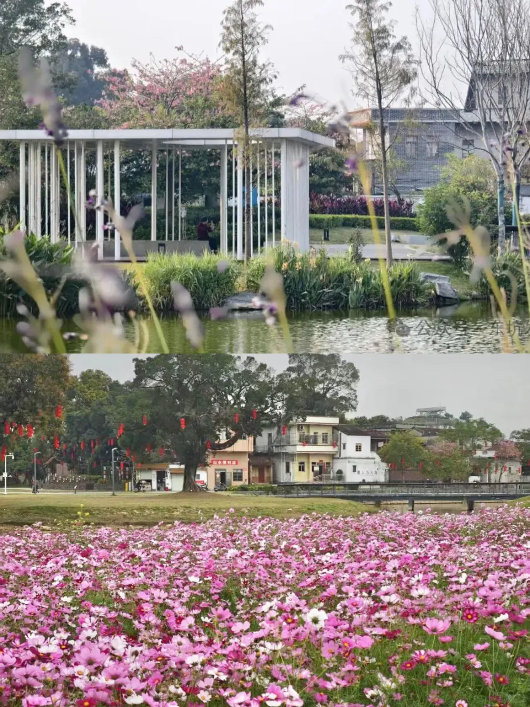 闯入老电影画面🕰️东莞复古怀旧citywalk