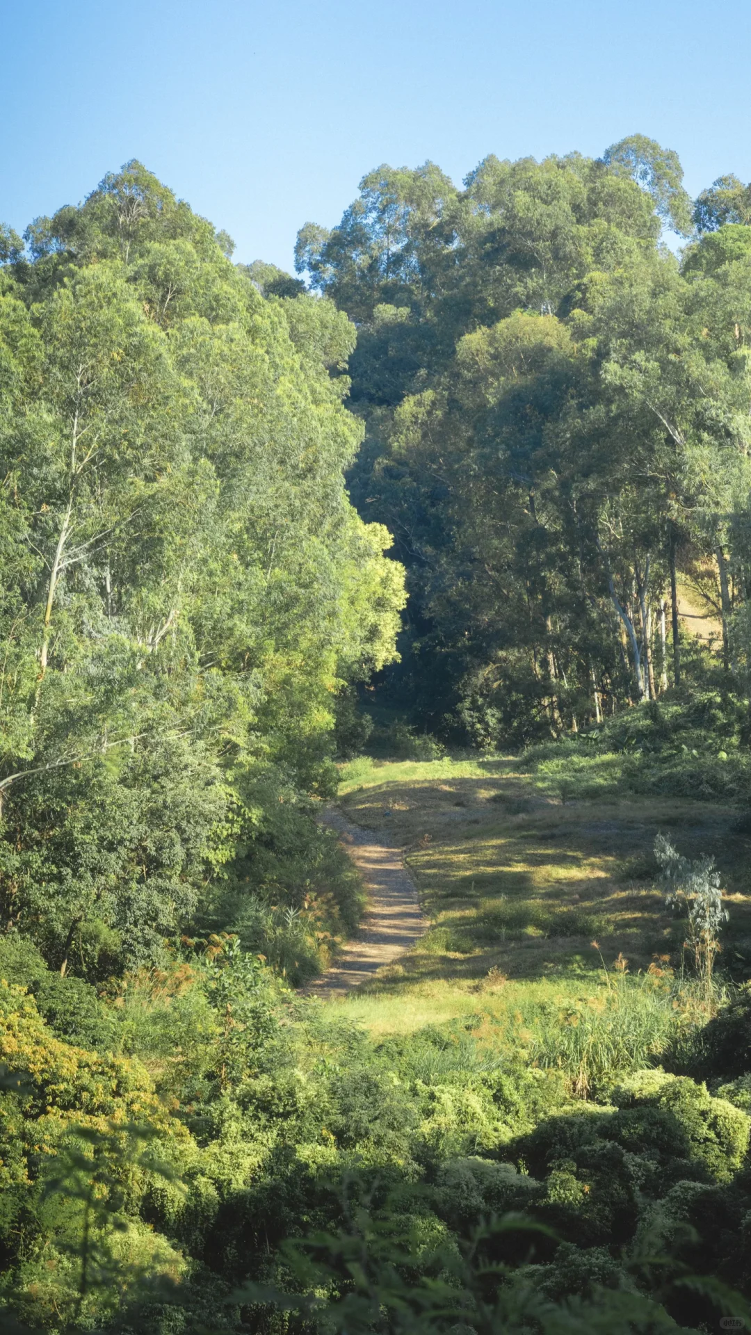 深圳龙岗徒步2小时｜小众绮丽郊野路线