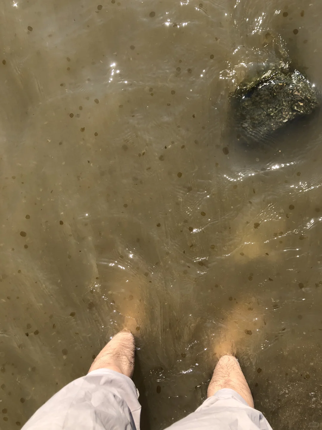 深圳太几把过瘾了，我的鼻炎都被治好了