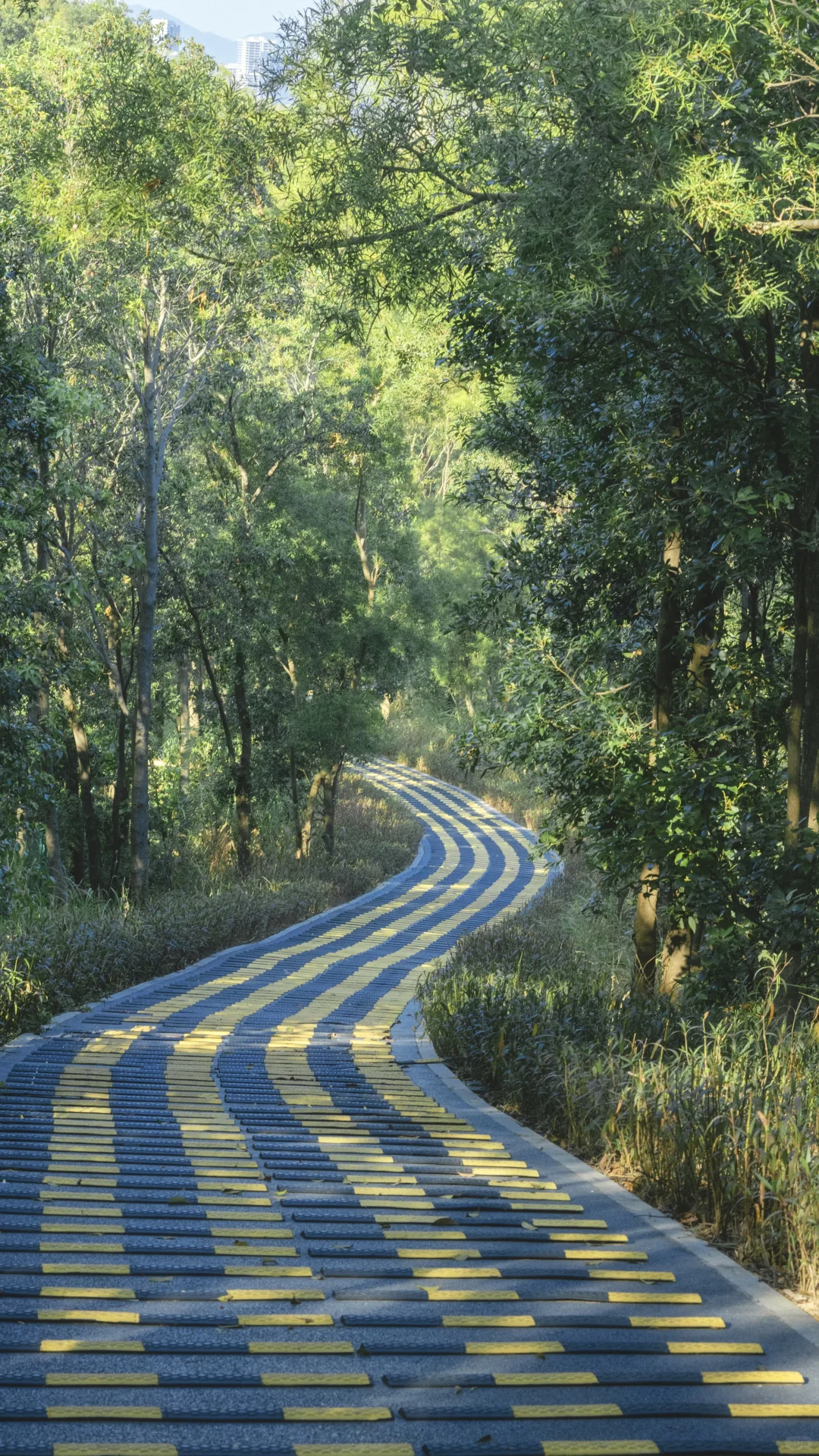 深圳龙岗徒步2小时｜小众绮丽郊野路线