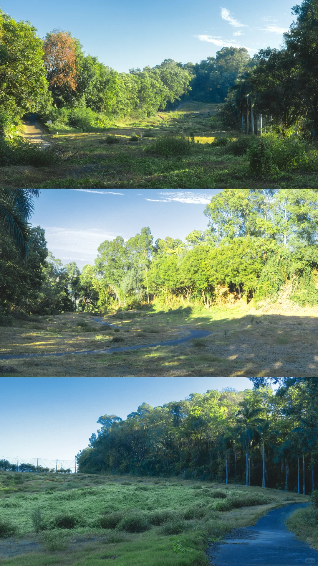 深圳龙岗徒步2小时｜小众绮丽郊野路线