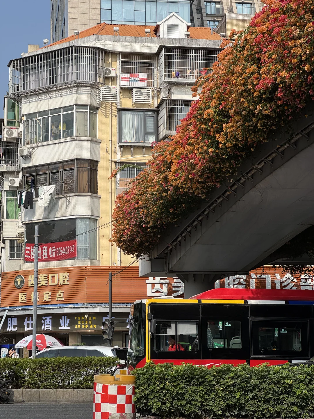 后来我逢人便说广州的十二月有多美