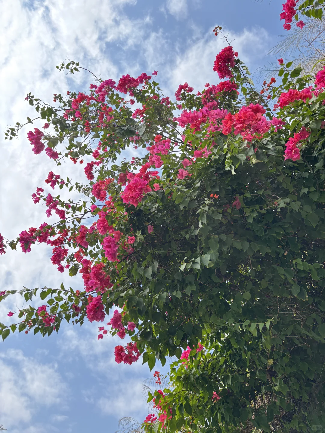 东莞遛娃惊喜发现！免费“小九寨沟”碧玉湖